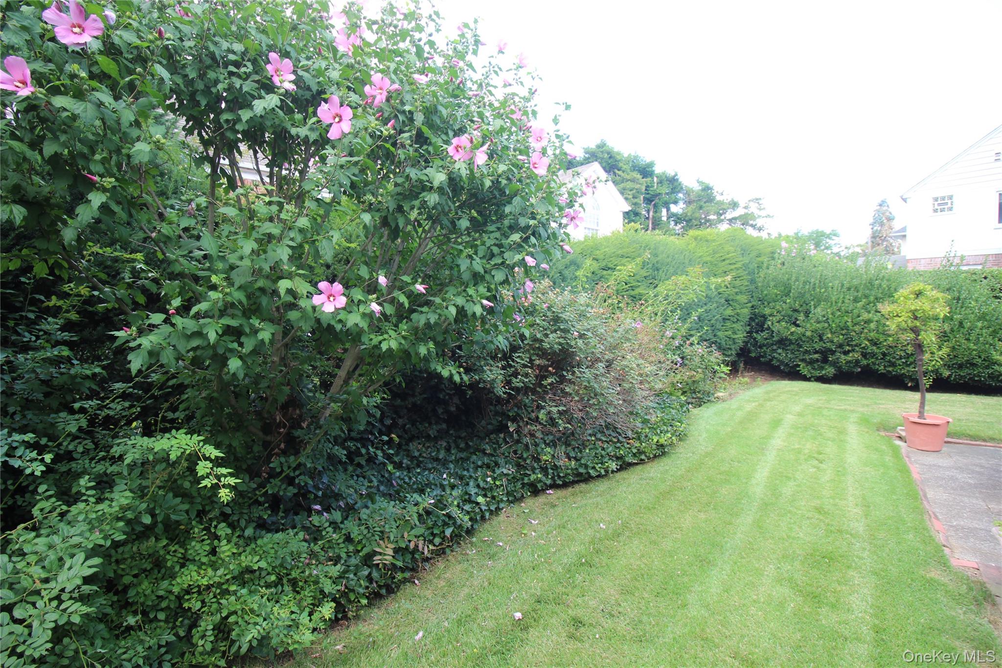 42 Foster Avenue – For Sale photo 6