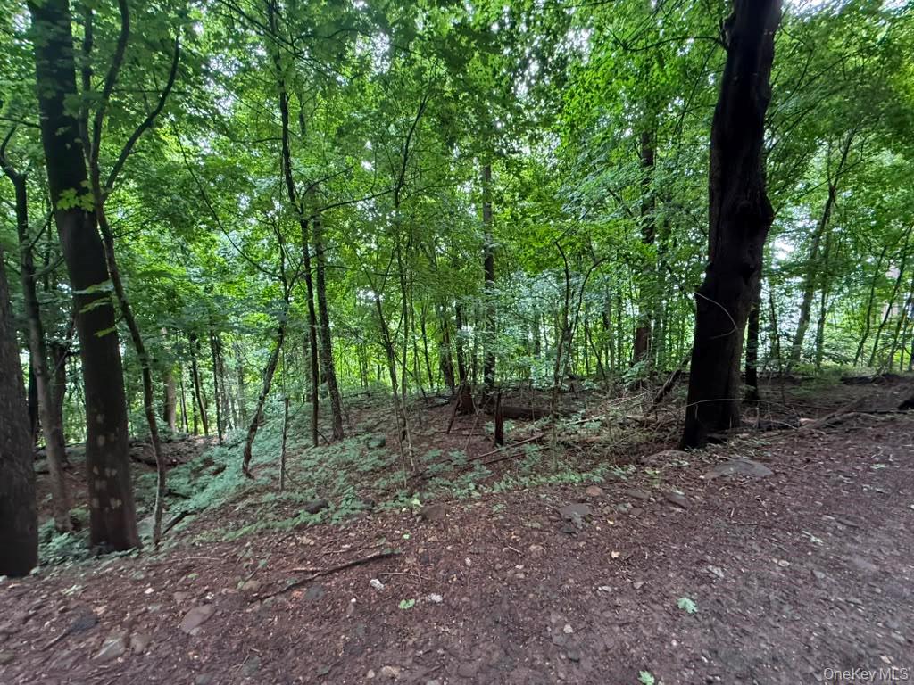 43 River Road – For Sale photo 2