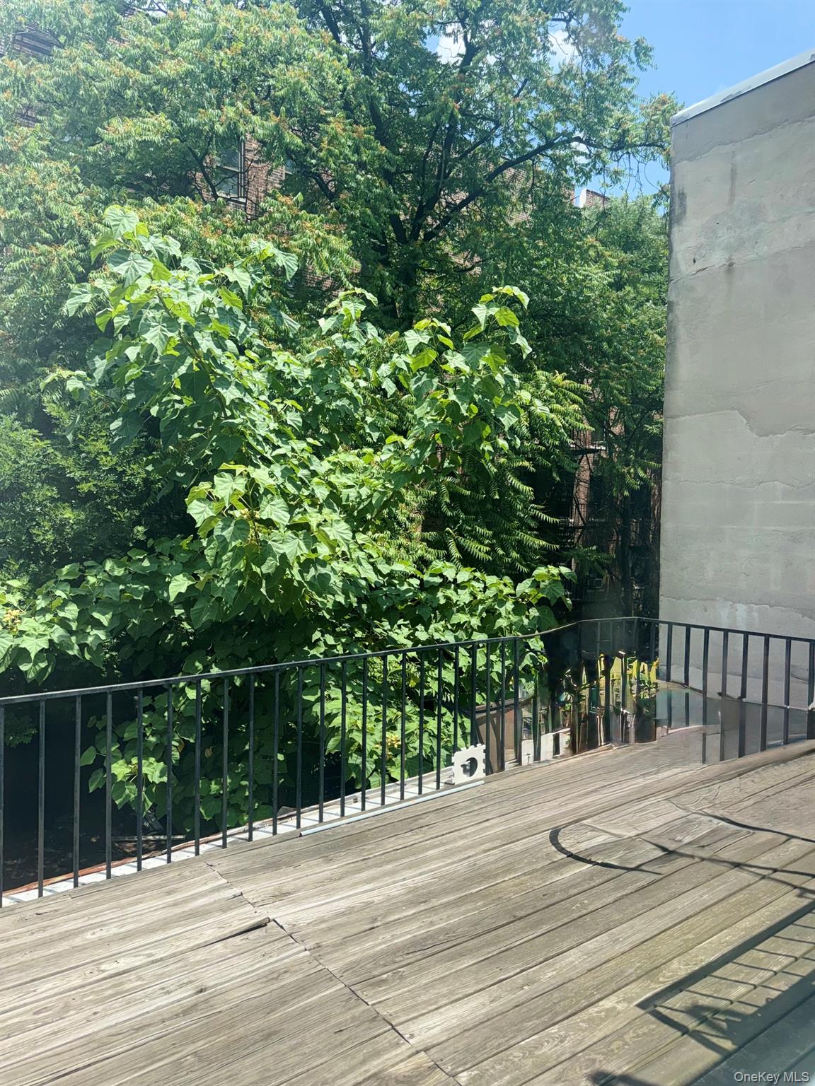 387 E 152nd Street, Unit 2nd floor