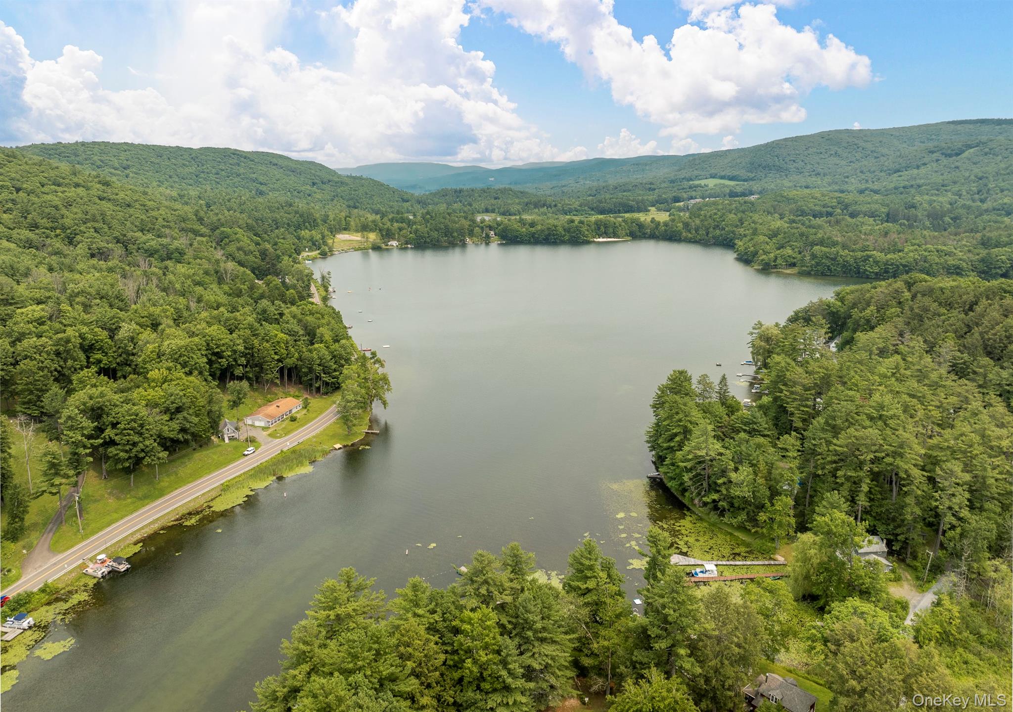 42 Queechy Lake Drive – For Sale photo 6