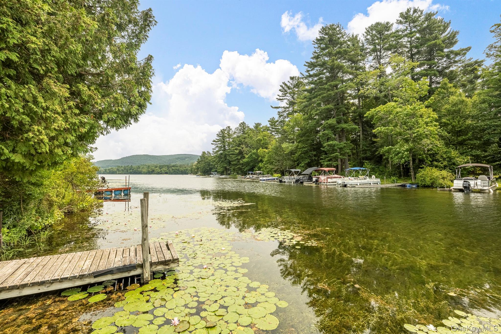 42 Queechy Lake Drive – For Sale photo 5