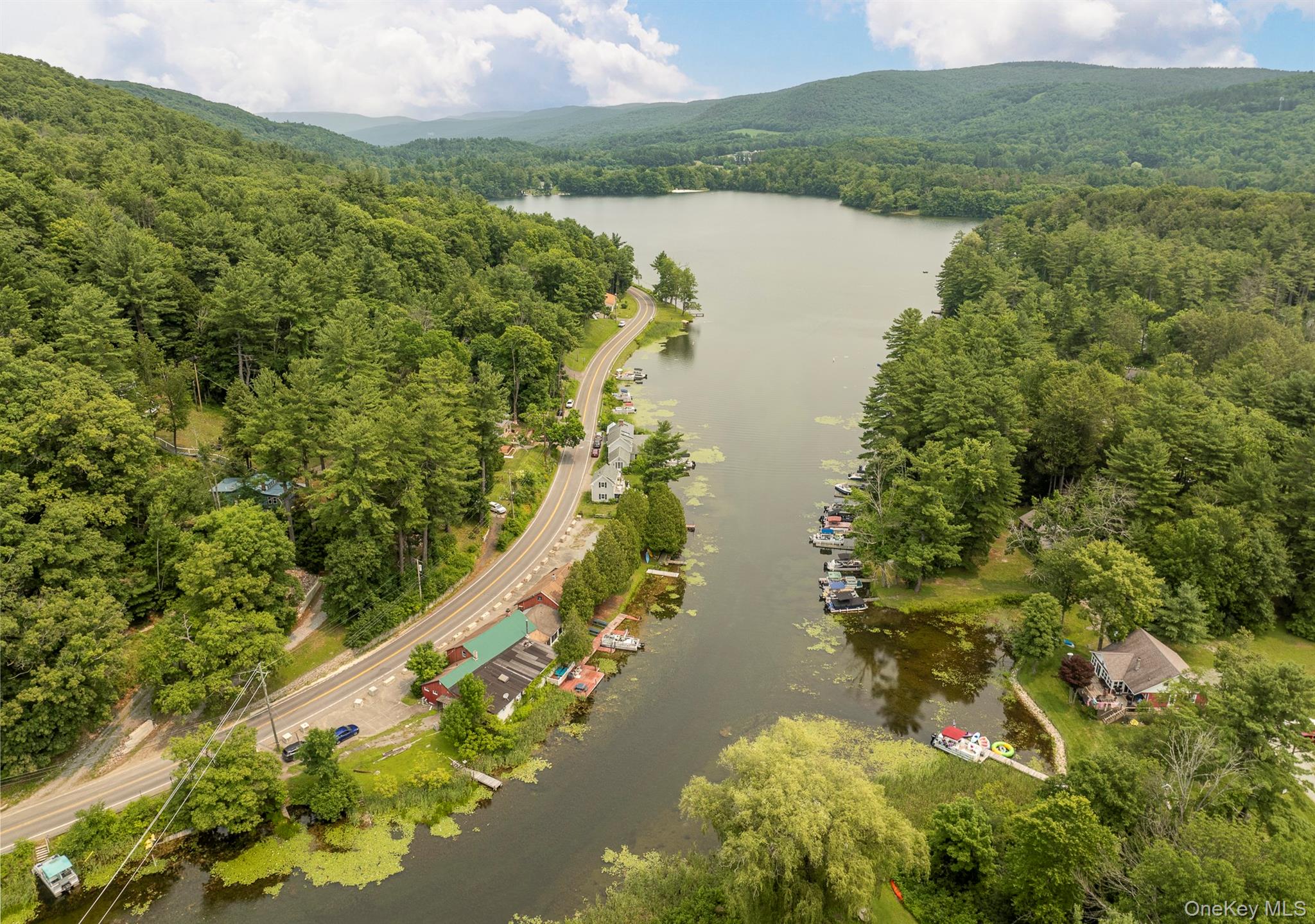 42 Queechy Lake Drive – For Sale photo 4