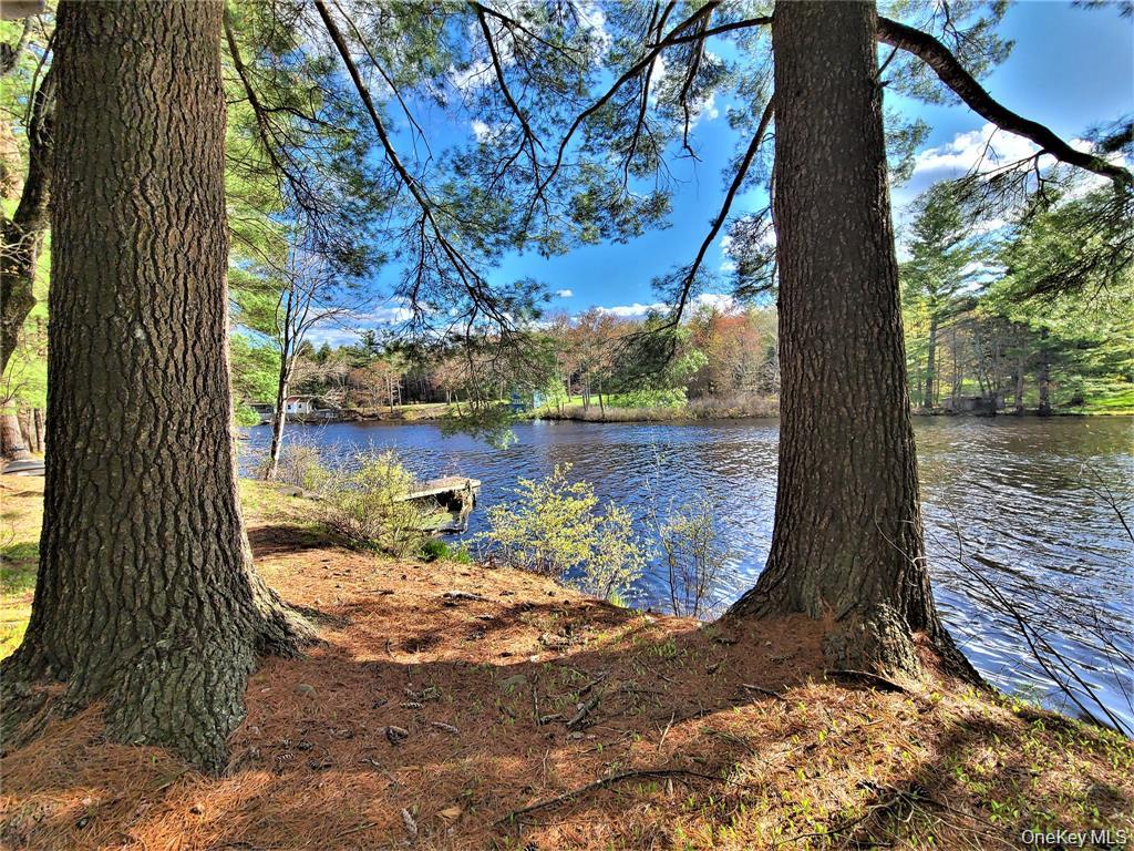 25 George Segar Road – For Sale photo 37