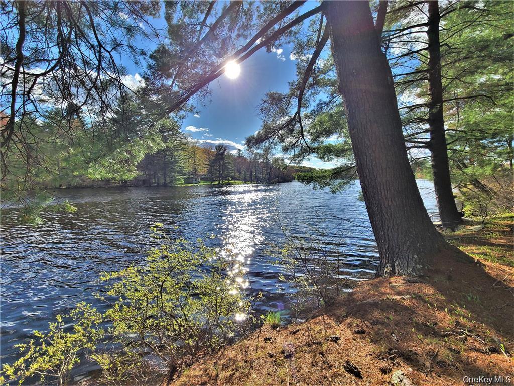 25 George Segar Road – For Sale photo 35