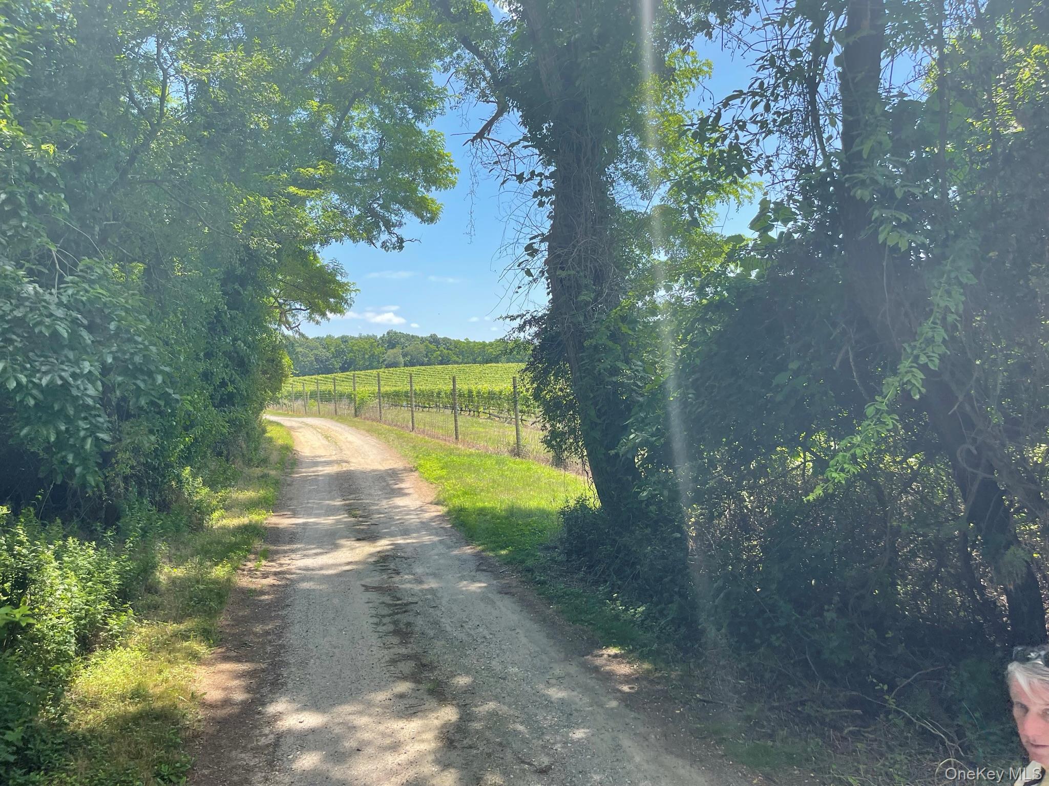 30145 County Road 48 – For Sale photo 2