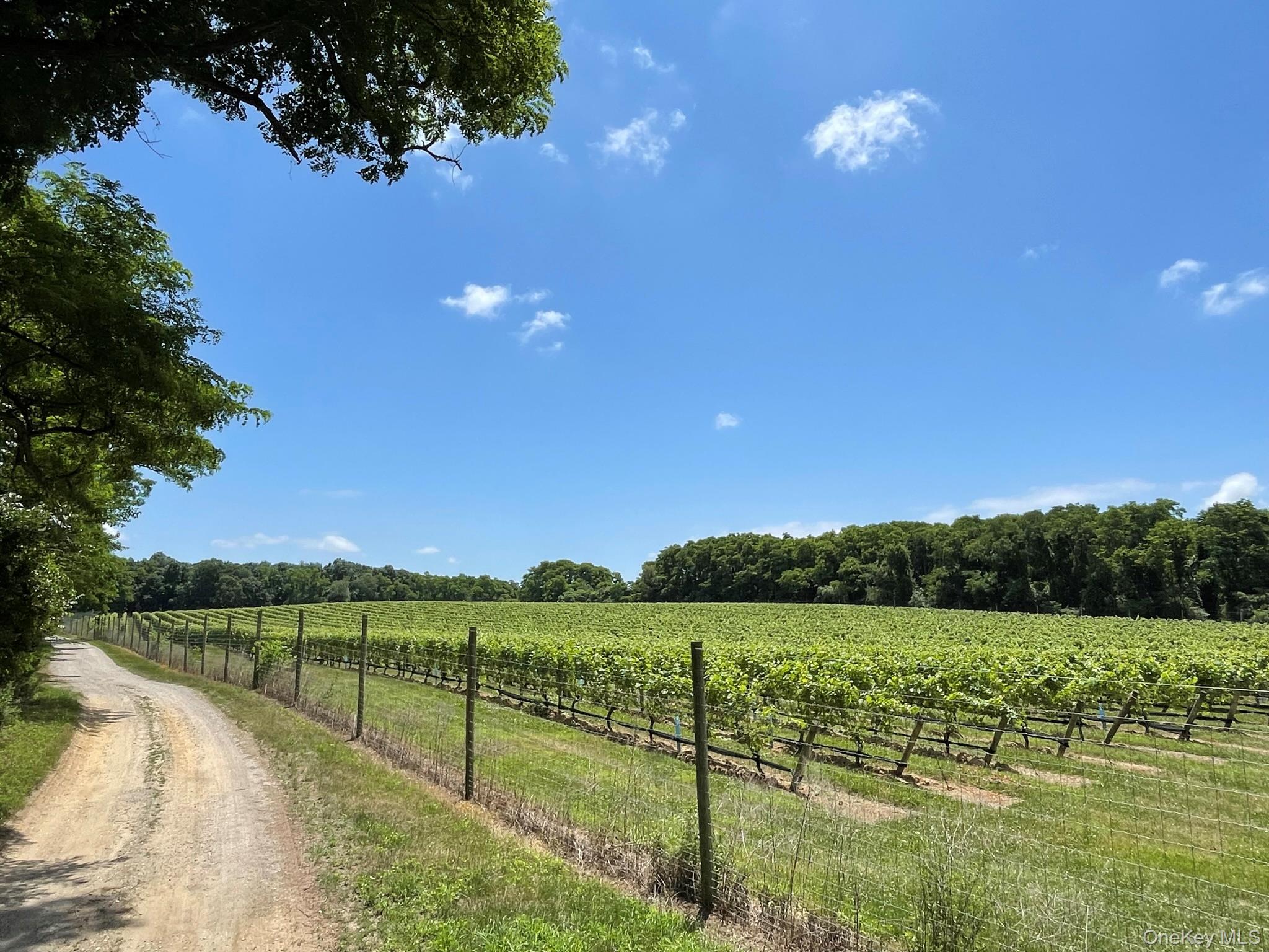 30145 County Road 48 – For Sale photo 4