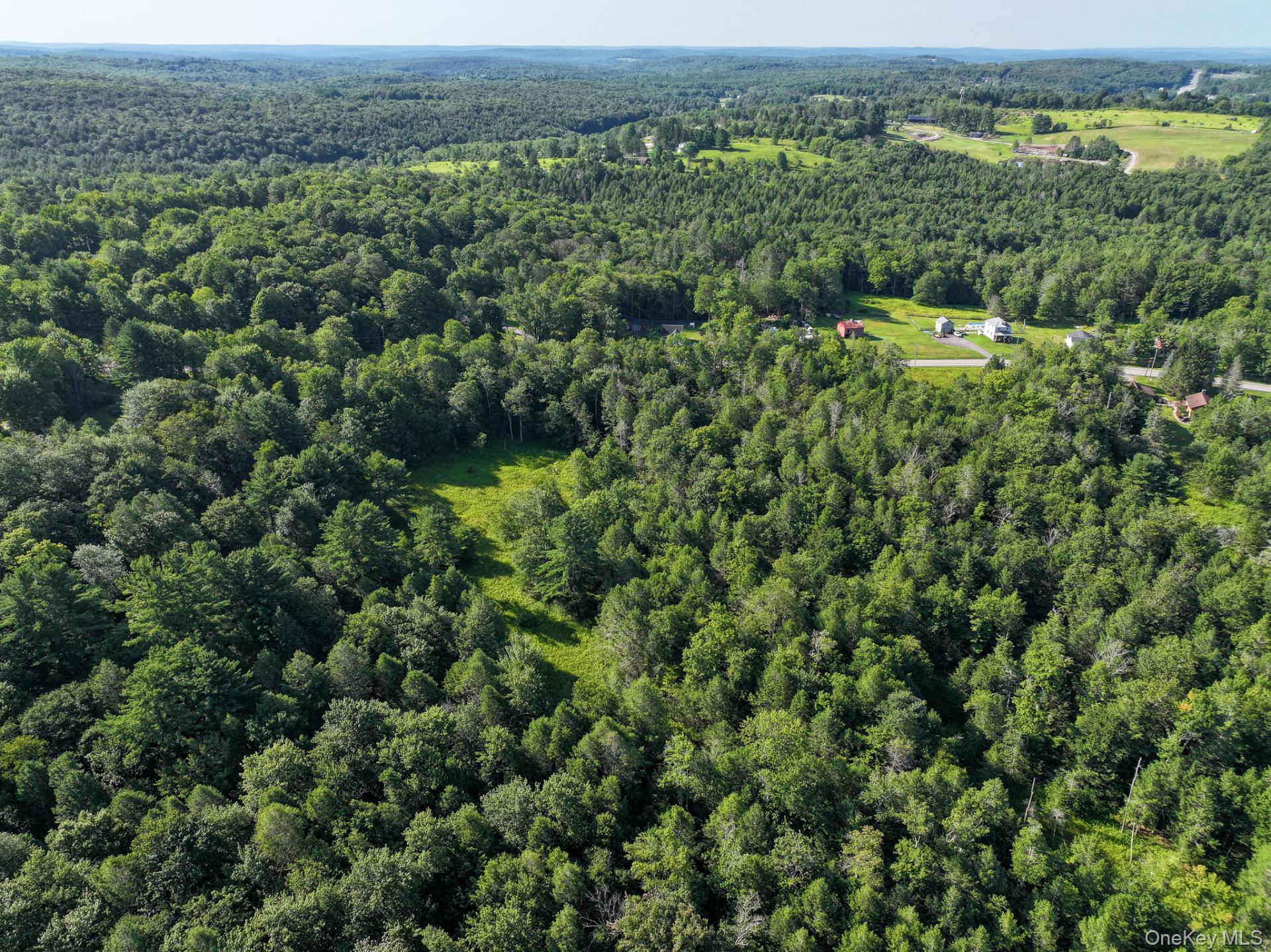 Neversink Road – For Sale photo 11