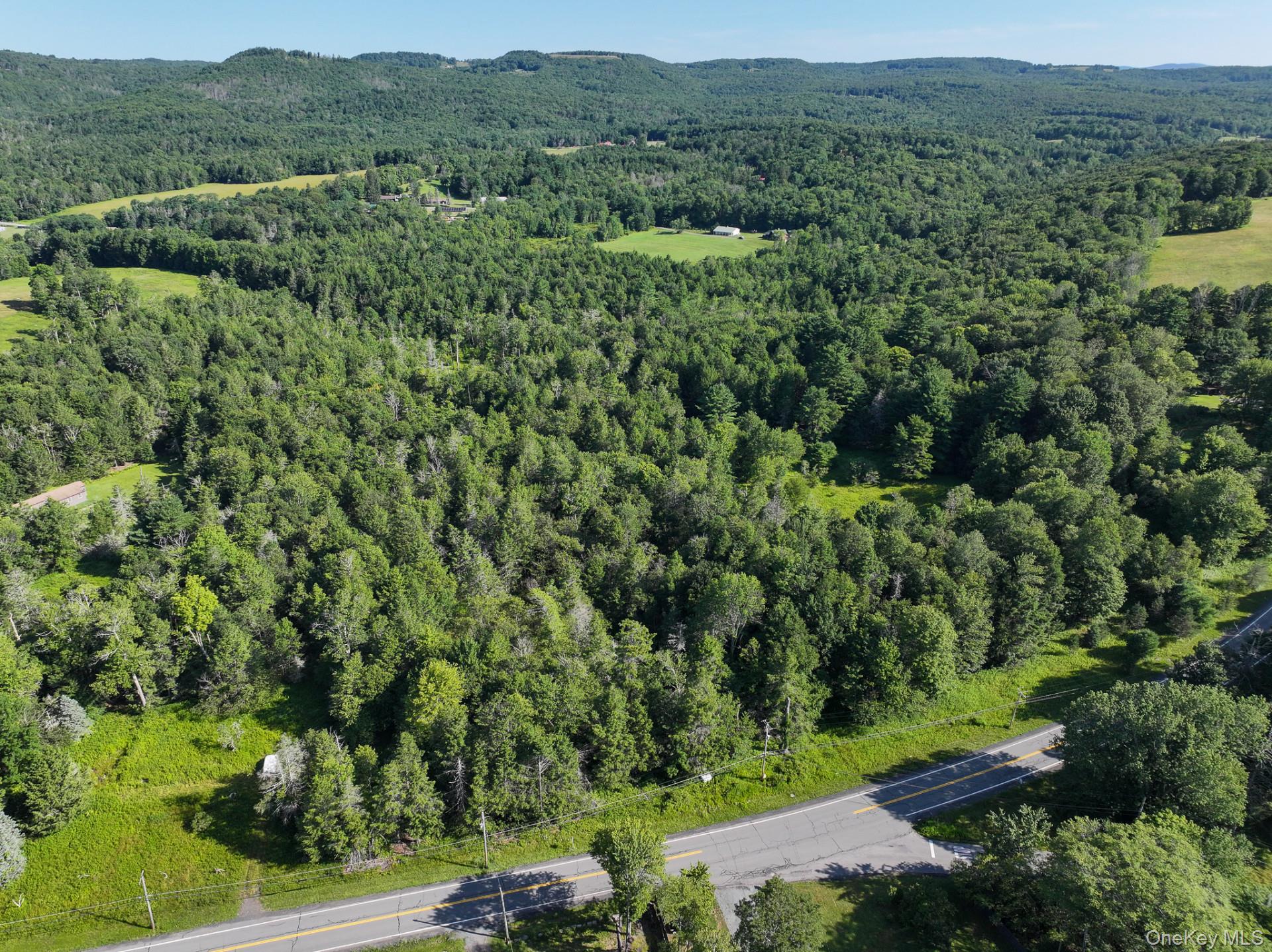 Neversink Road – For Sale photo 3