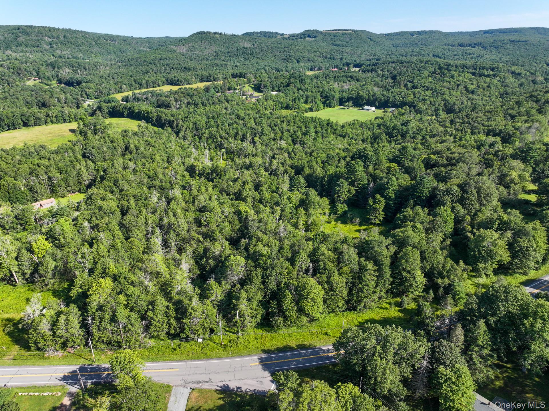 Neversink Road – For Sale photo 9