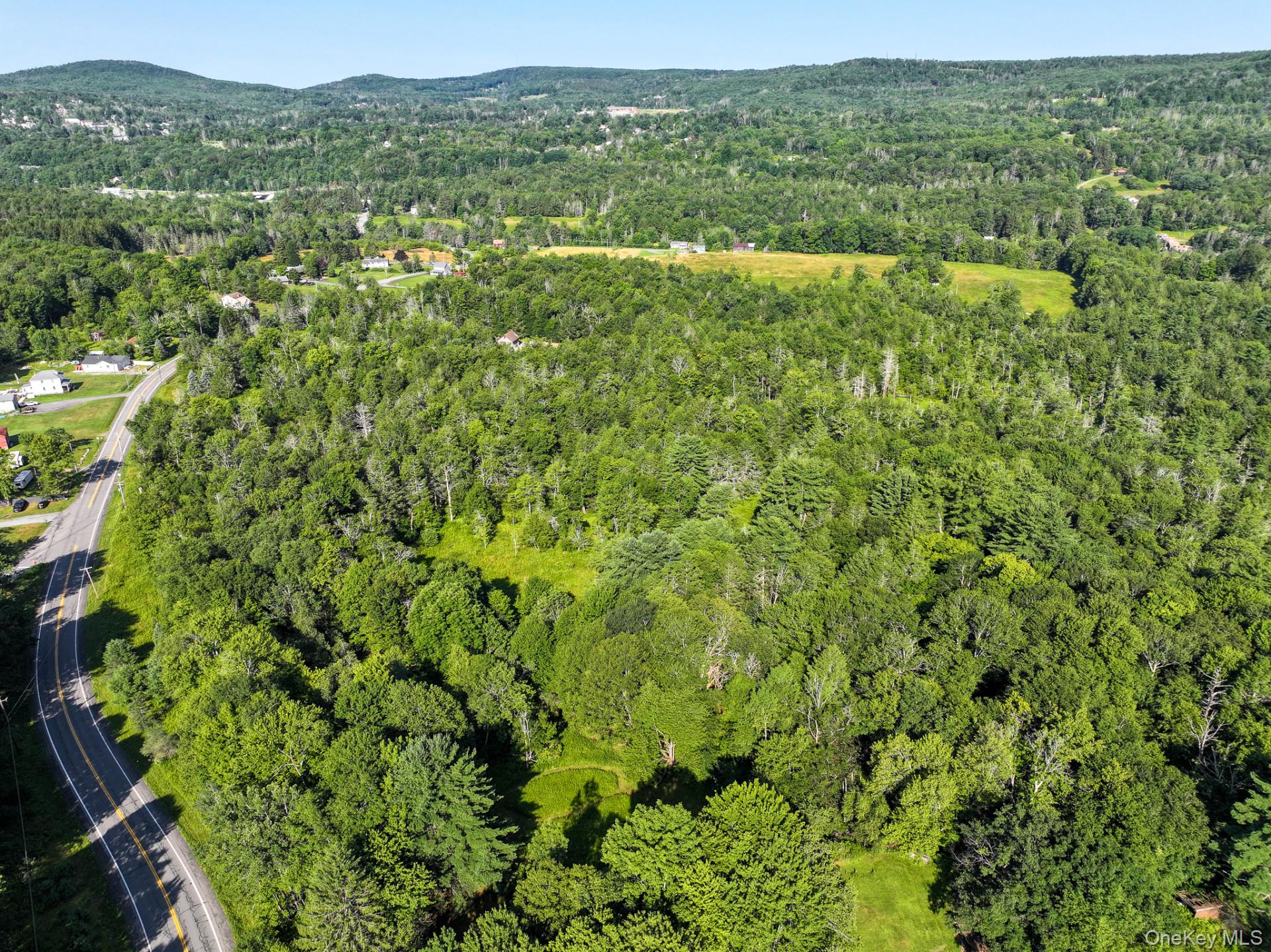 Neversink Road – For Sale photo 6