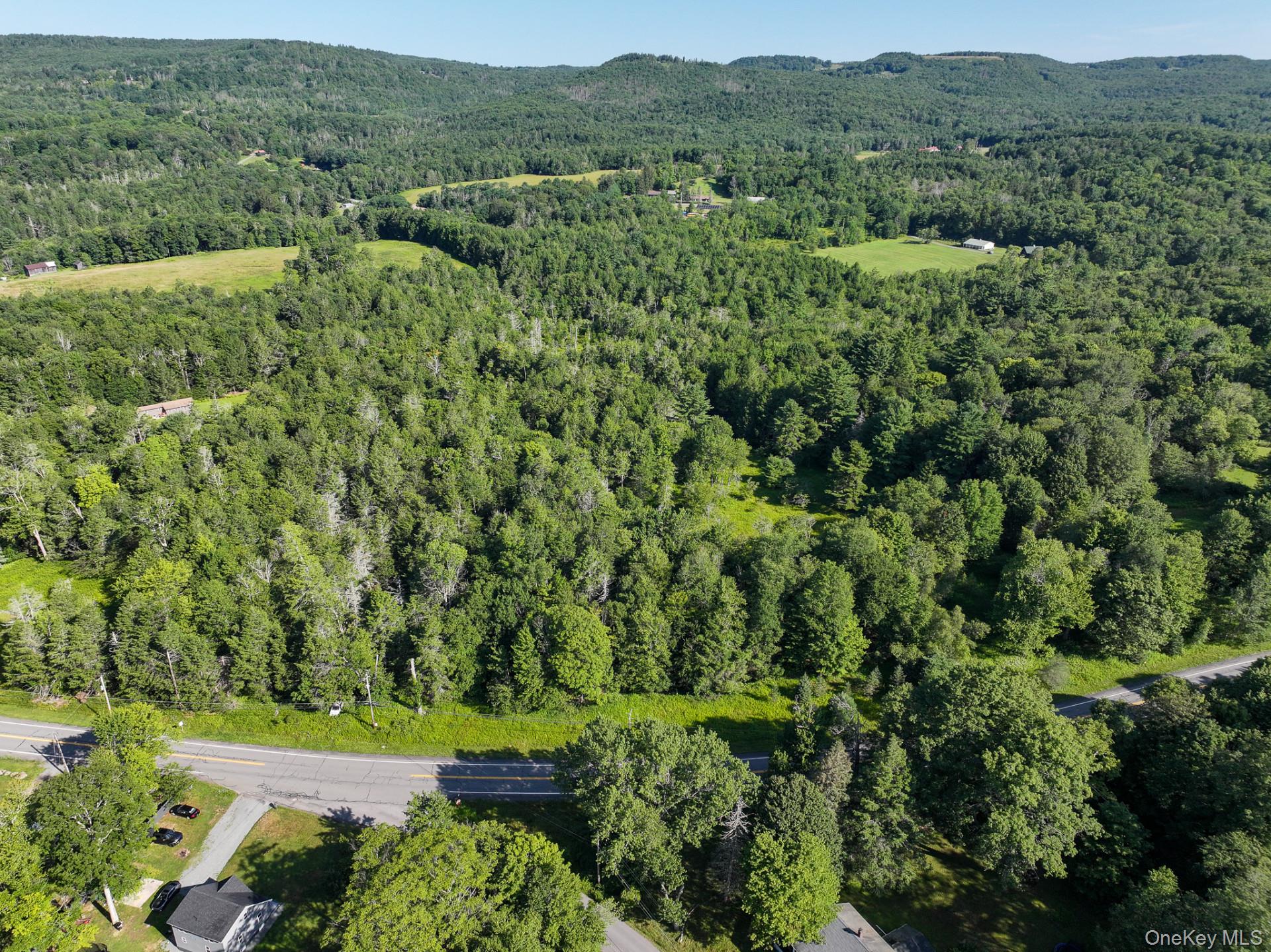 Neversink Road – For Sale photo 5