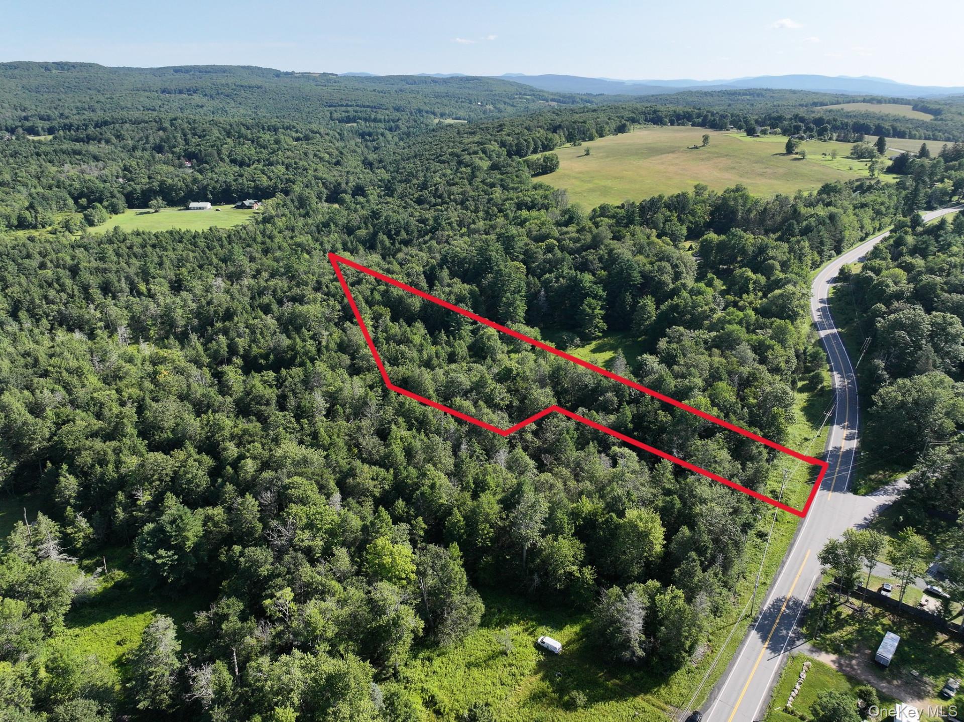 Neversink Road – For Sale