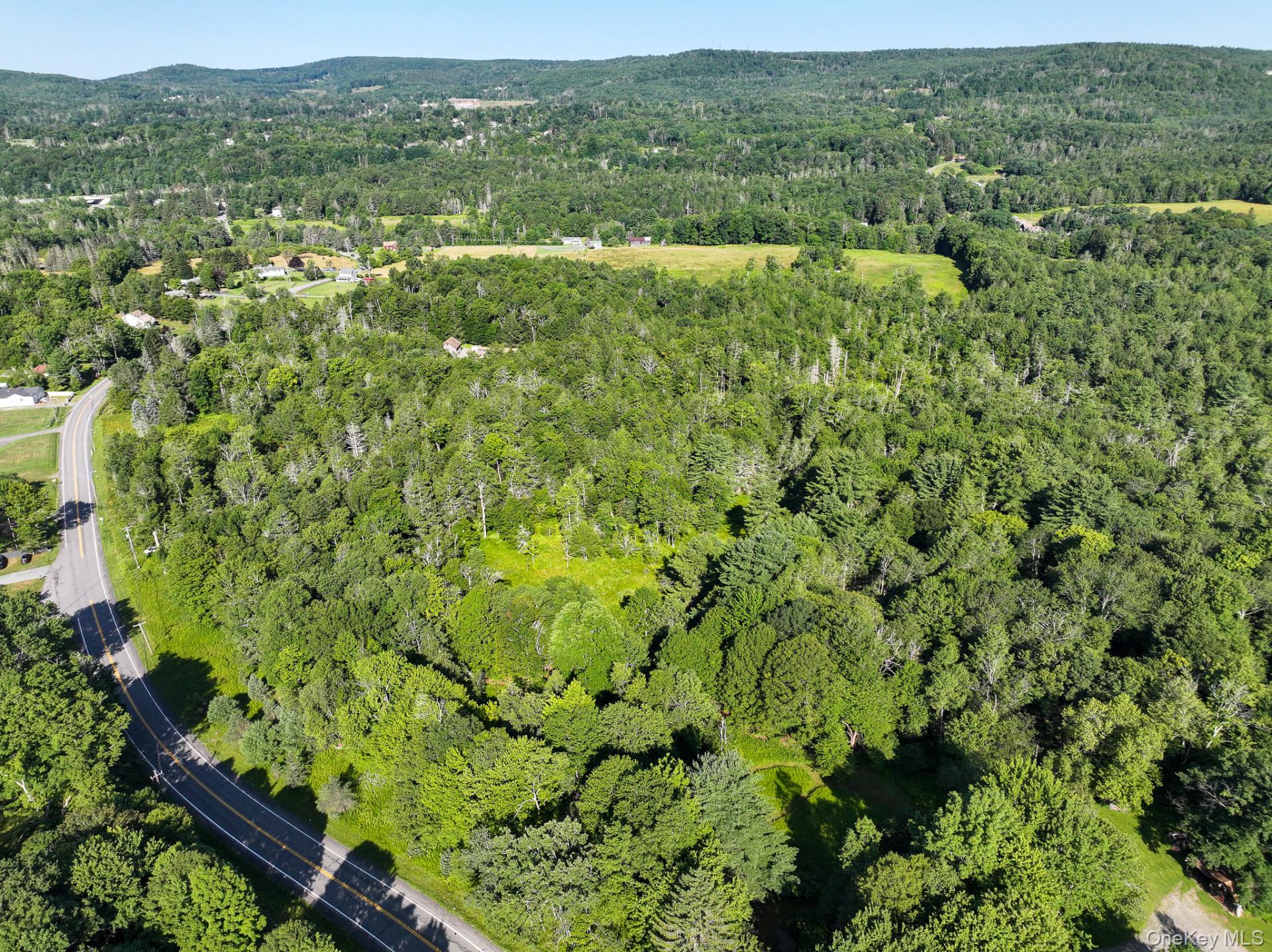Neversink Road – For Sale photo 12