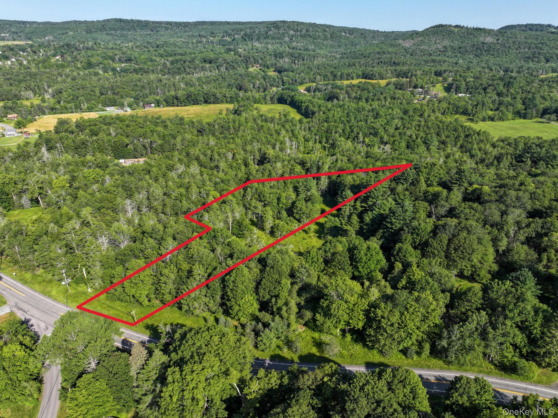 Neversink Road – For Sale photo 2