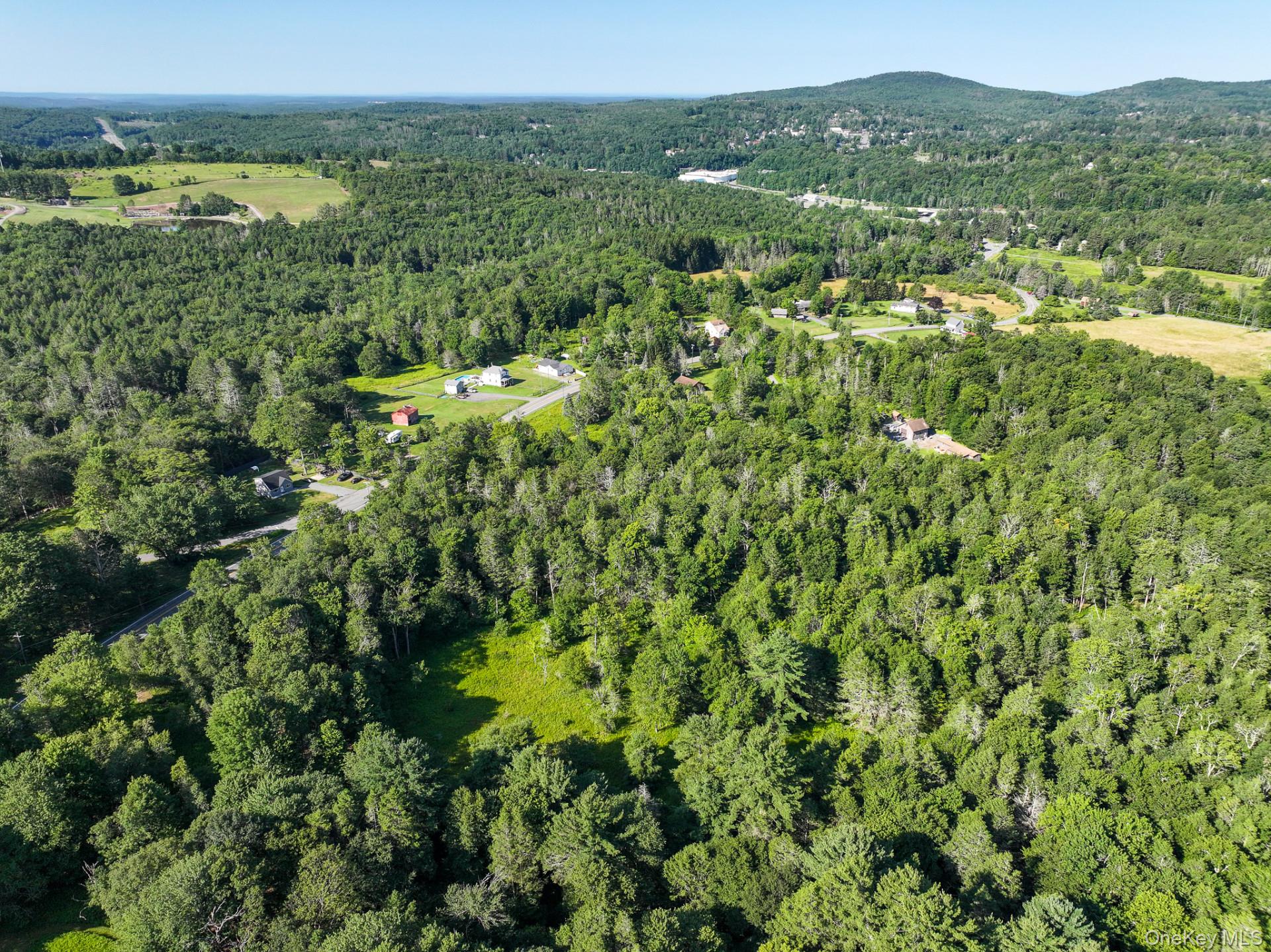 Neversink Road – For Sale photo 7