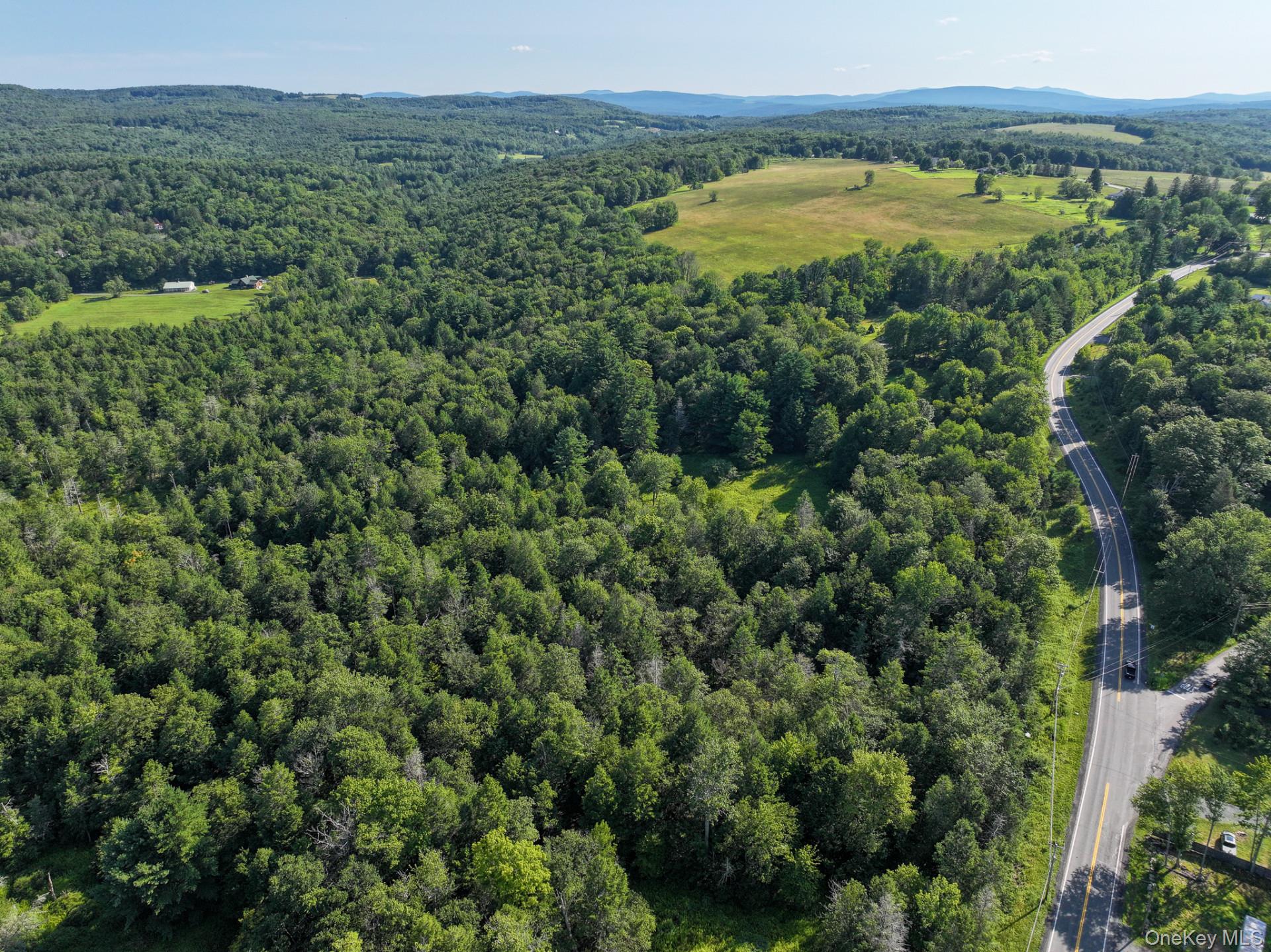 Neversink Road – For Sale photo 10
