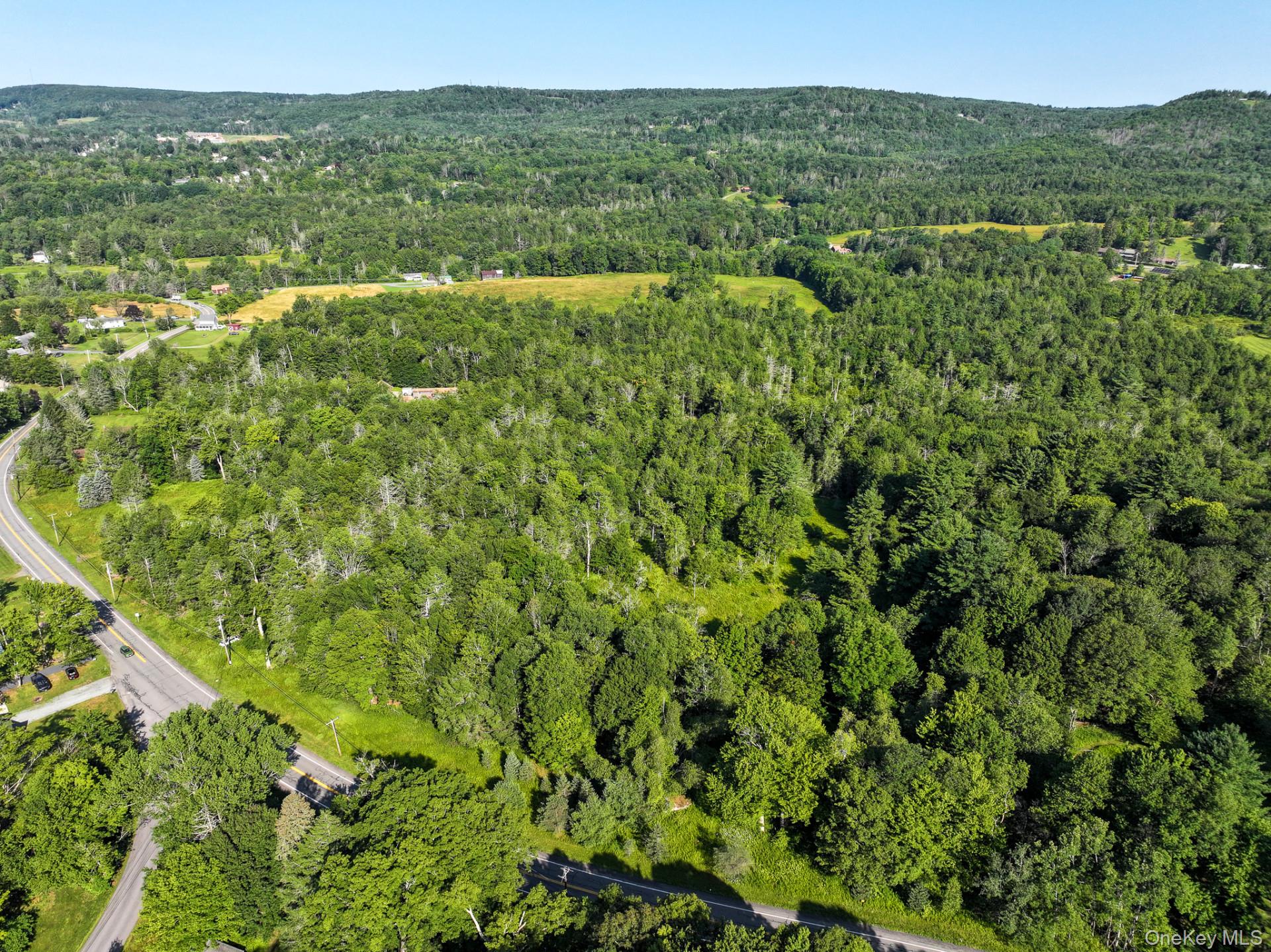 Neversink Road – For Sale photo 8