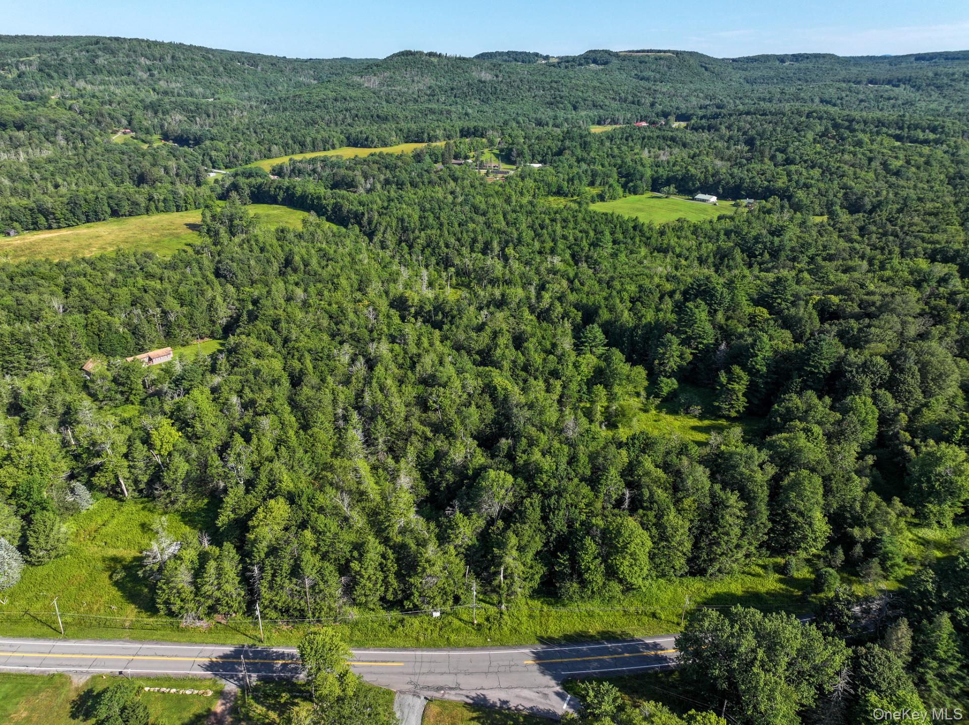 Neversink Road – For Sale photo 4