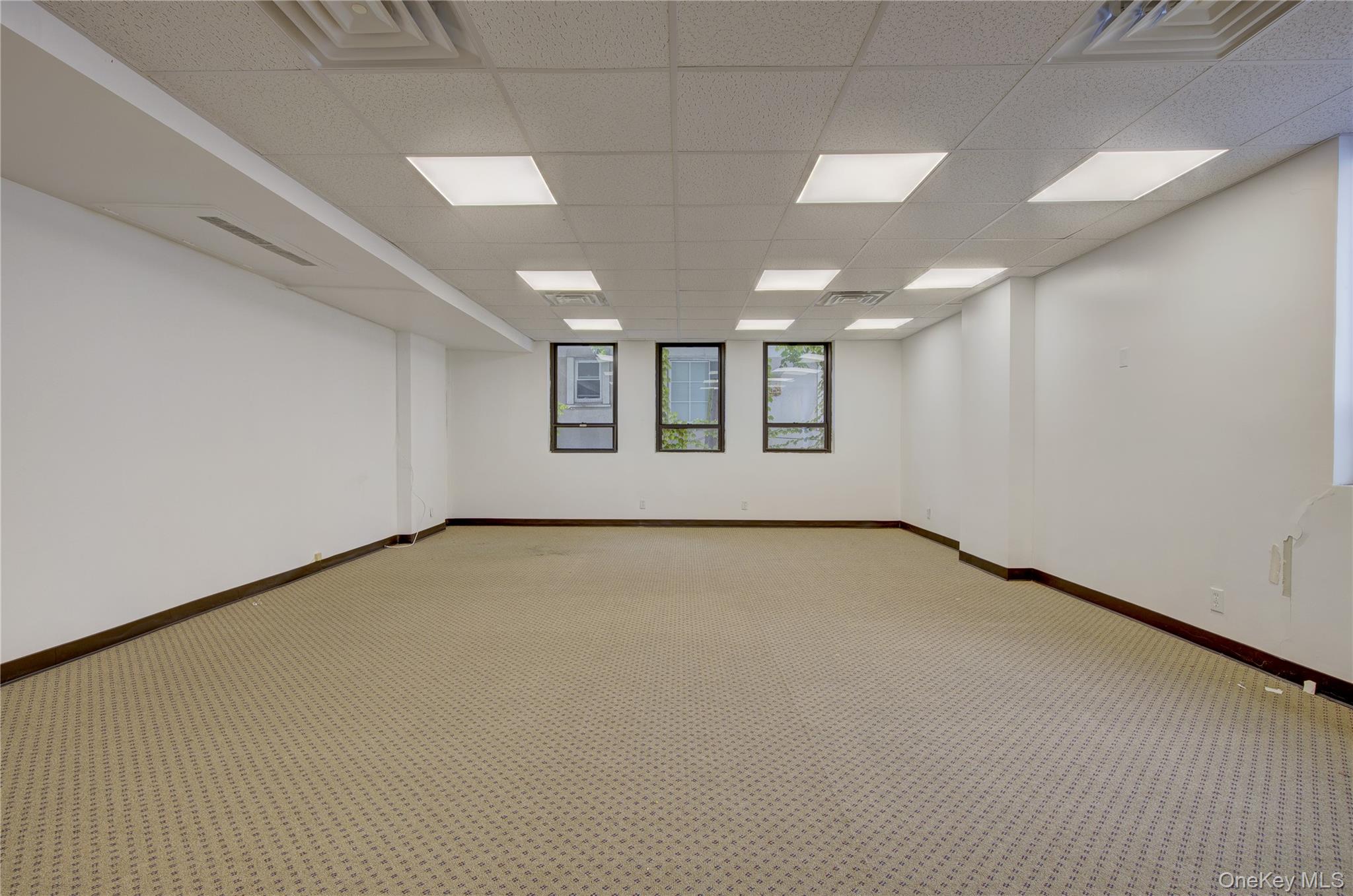 100 W Park Avenue, Unit 204 photo 3