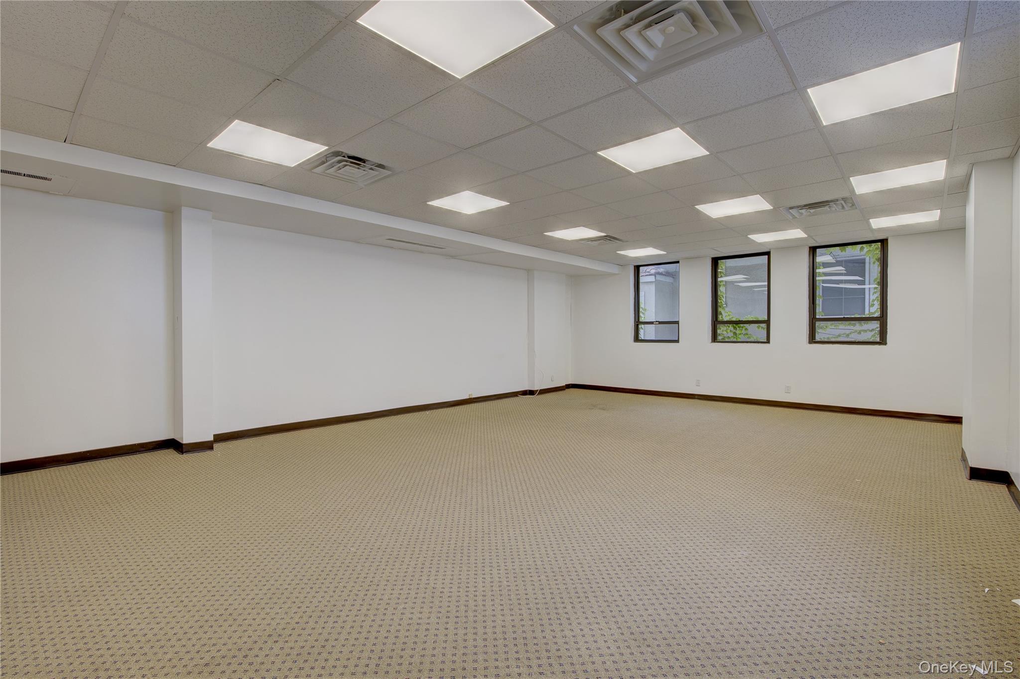 100 W Park Avenue, Unit 204 photo 4