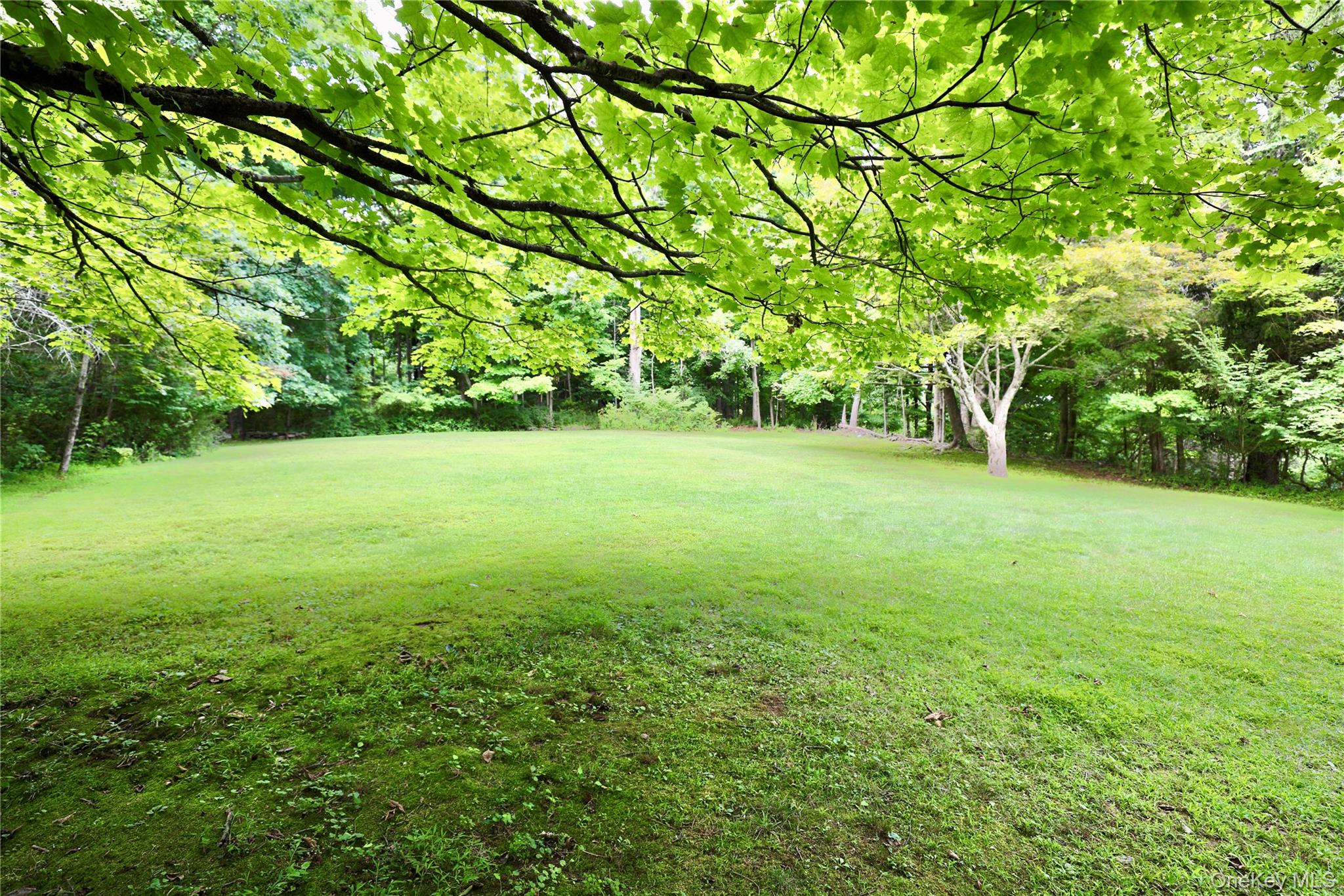 97 Morningside Drive – For Sale photo 31