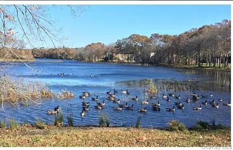 214 Artist Lake Drive – For Rent photo 11