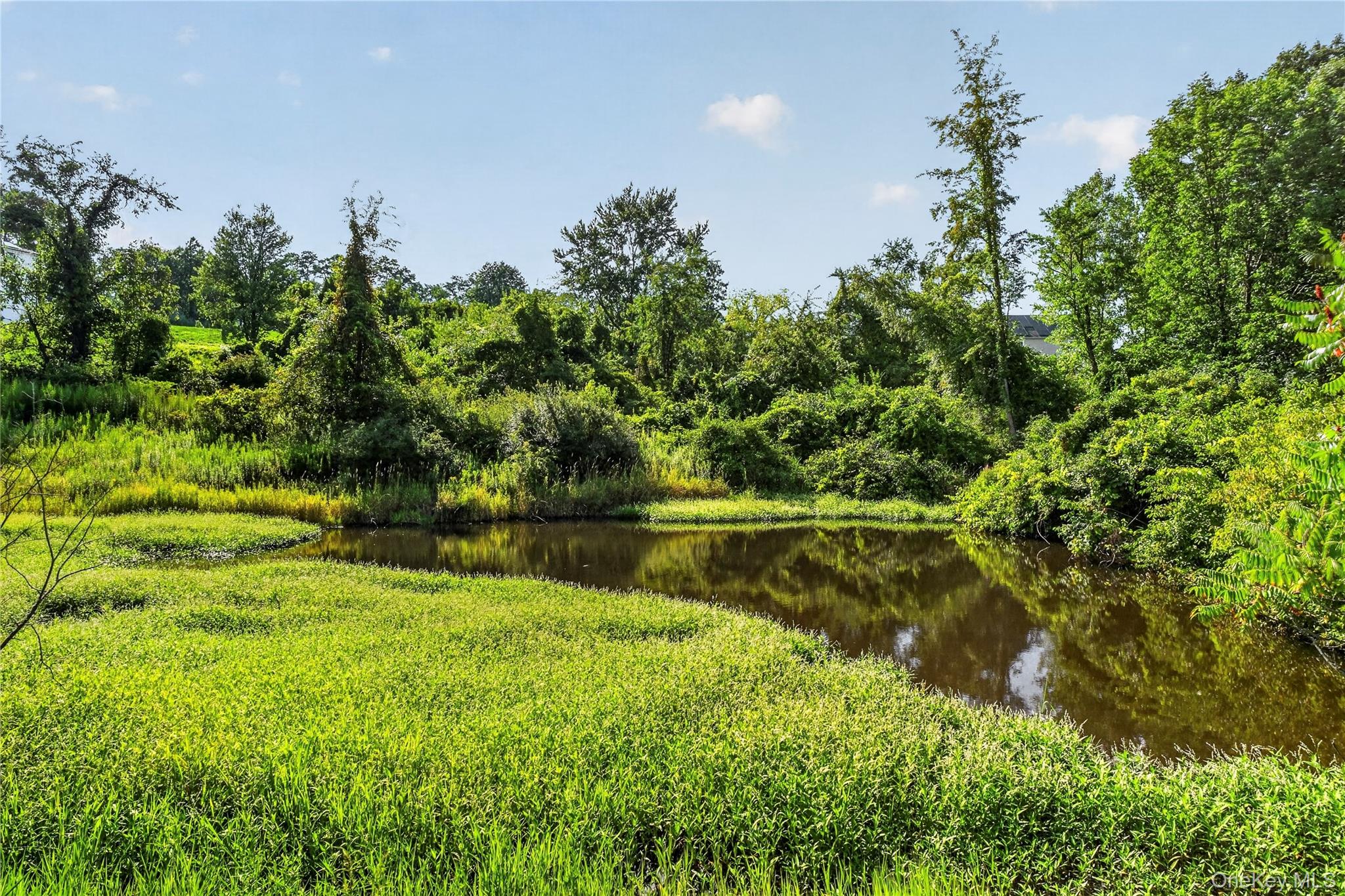 9 Bills Lane – For Sale photo 43