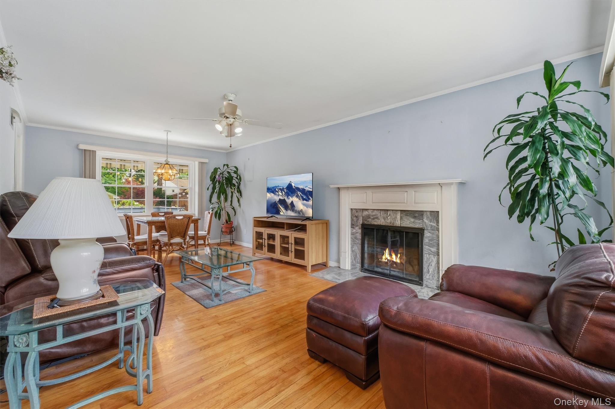 4 Broadview Road – For Sale photo 10