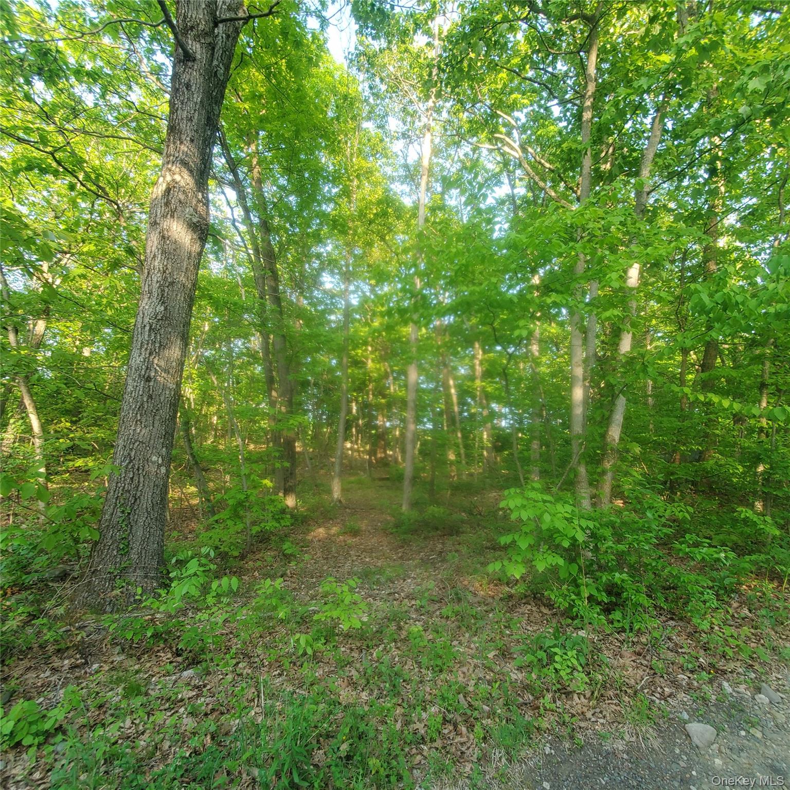 15 Rose Hill Road – For Sale photo 4