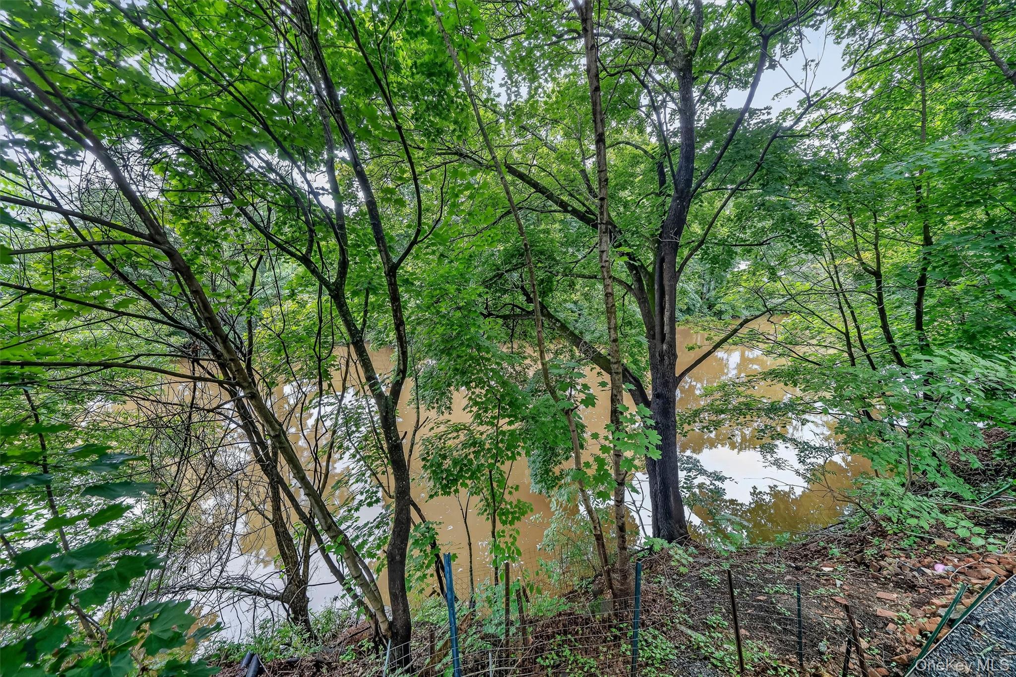 64 Orrs Mills Road, Unit B photo 29