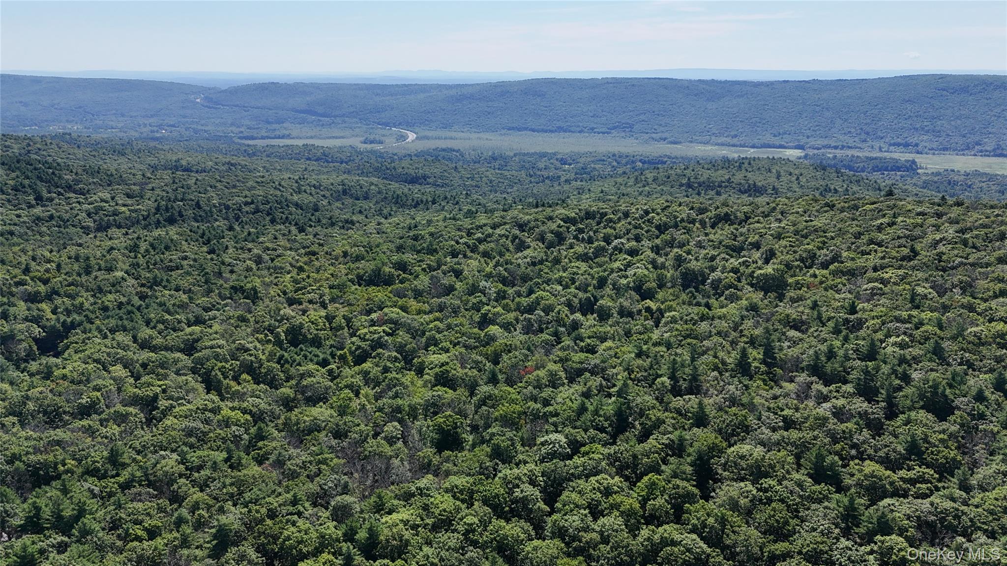 State Route 209 – For Sale photo 5