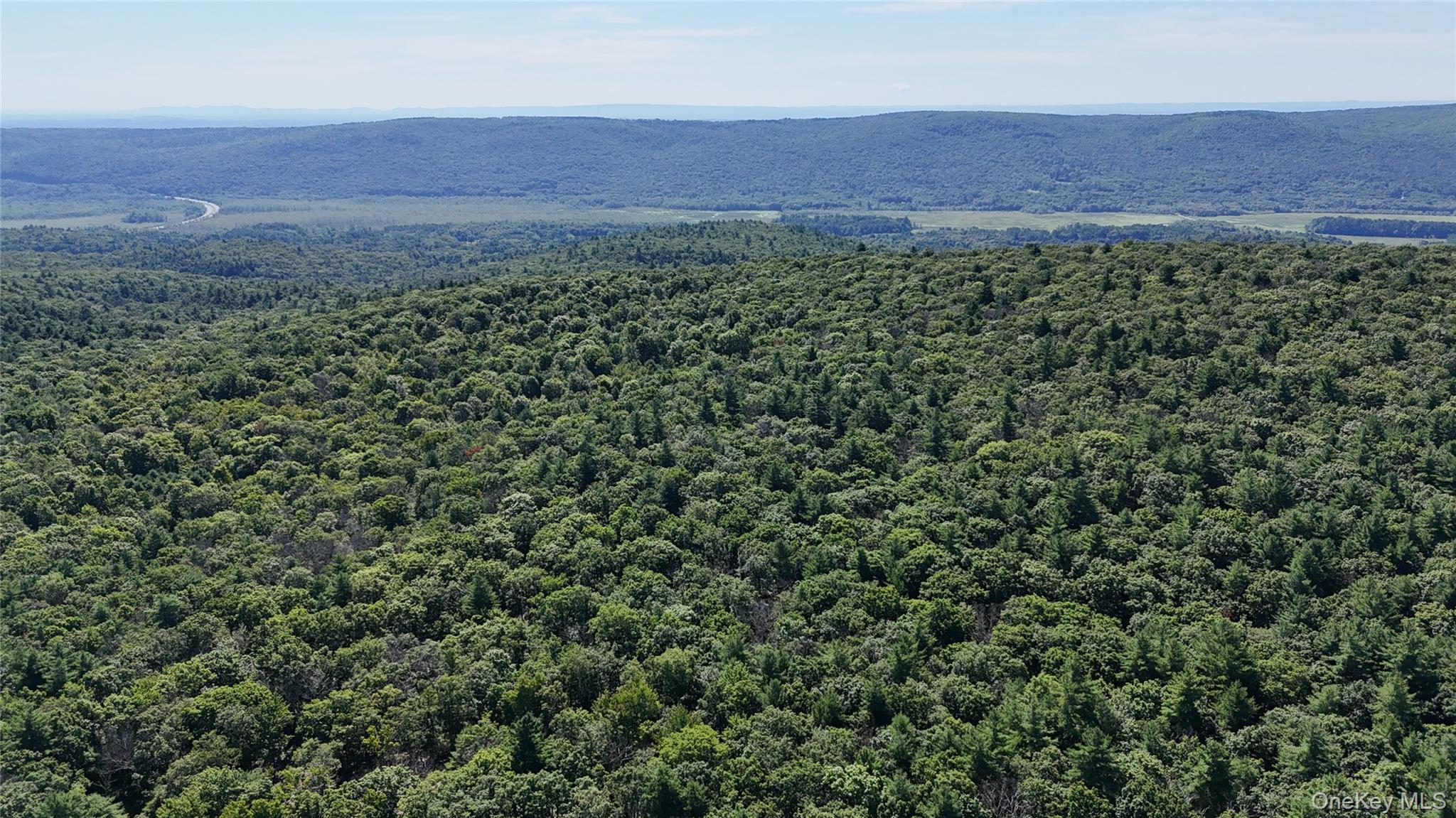 State Route 209 – For Sale photo 4
