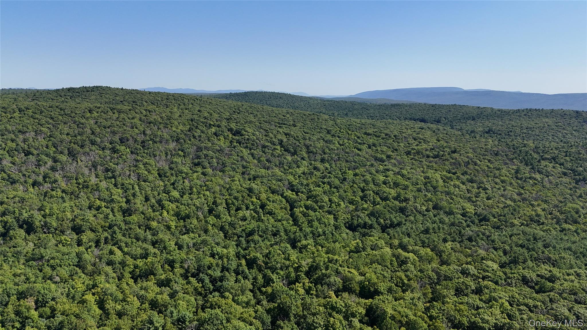 State Route 209 – For Sale photo 7