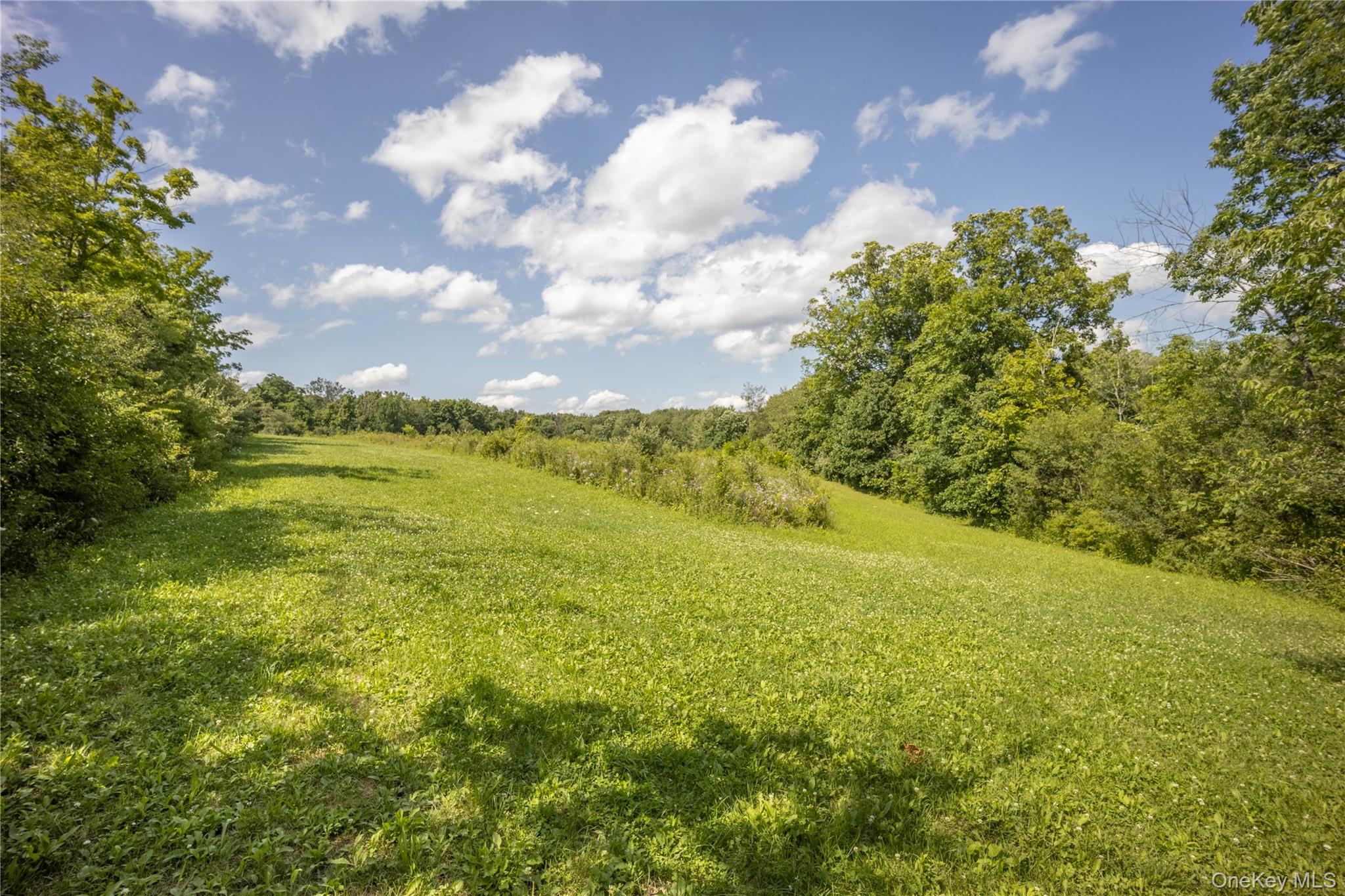 147 Lauer Road – For Sale photo 24