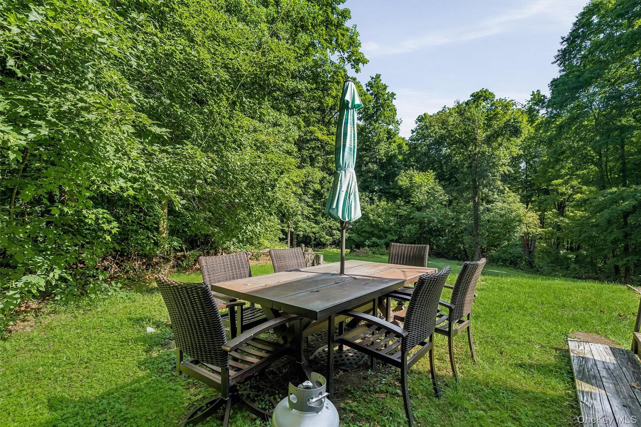 66 Whitetail Run – For Sale photo 43