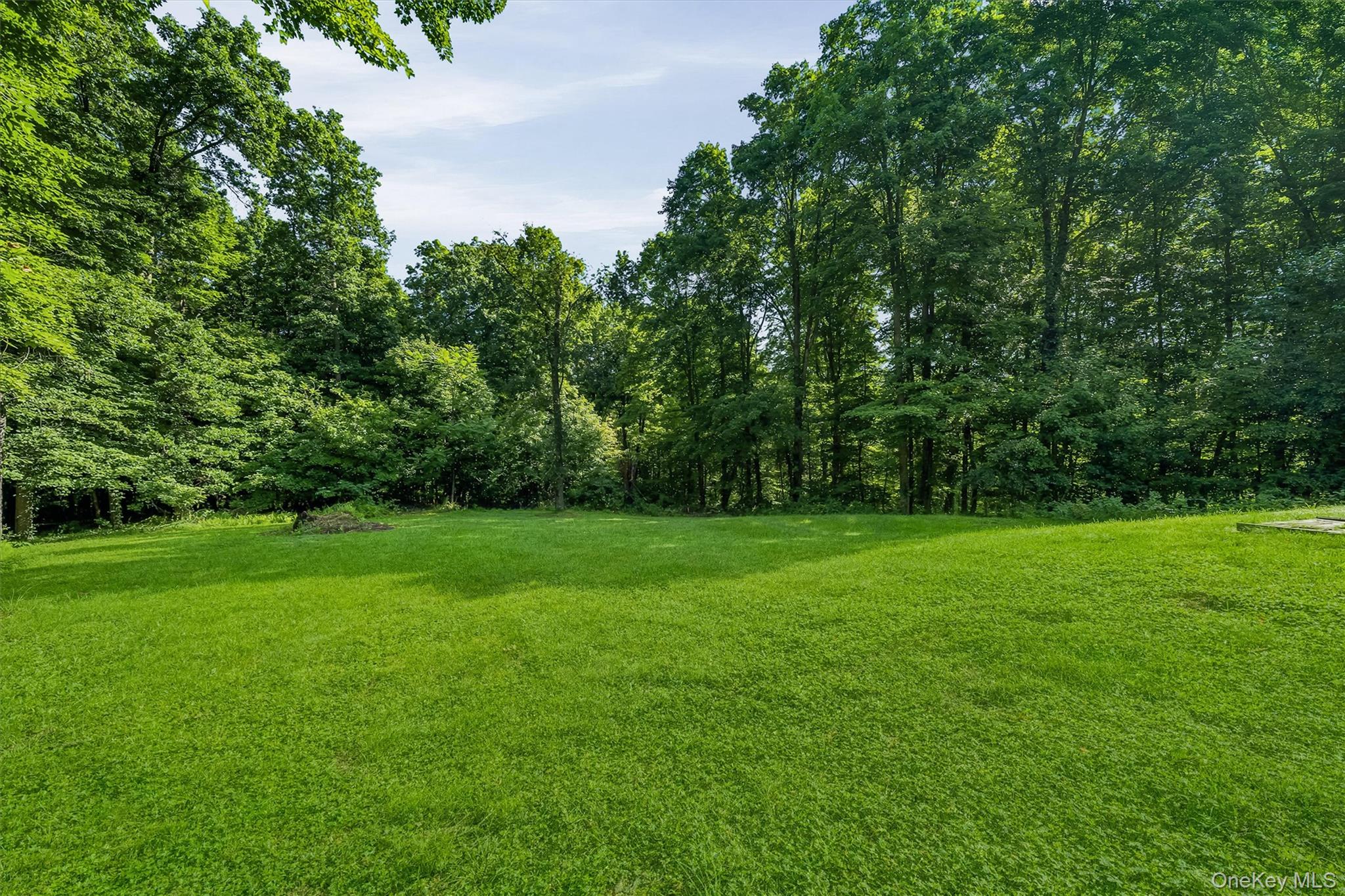 66 Whitetail Run – For Sale photo 45