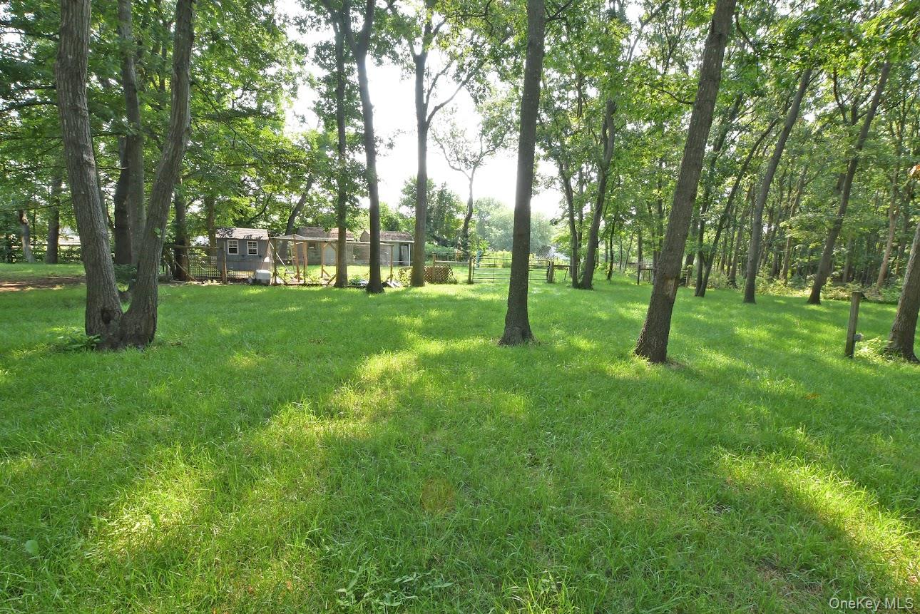 224C Country Road – For Sale photo 30