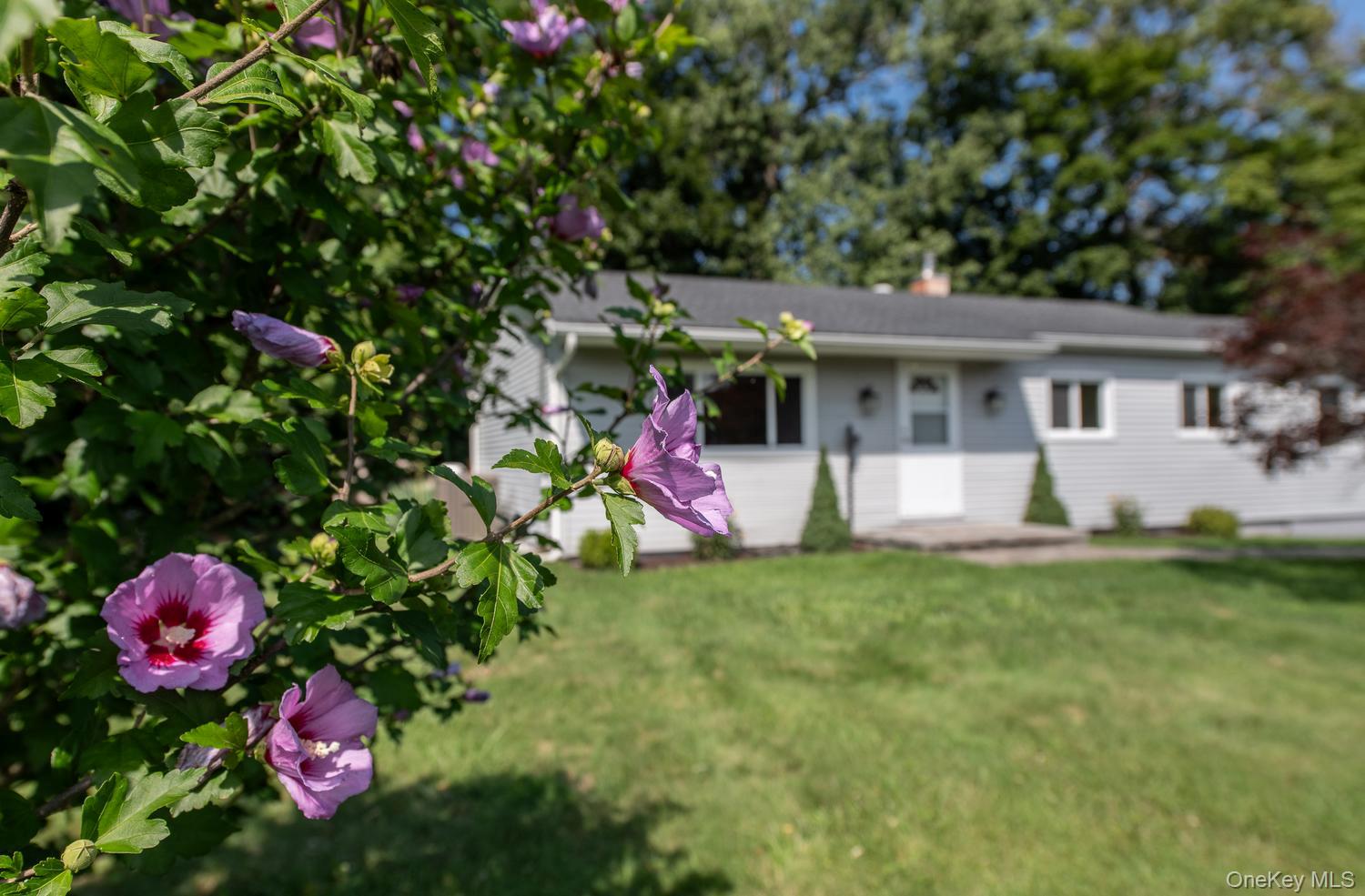 16 Trinity Place – For Sale photo 4