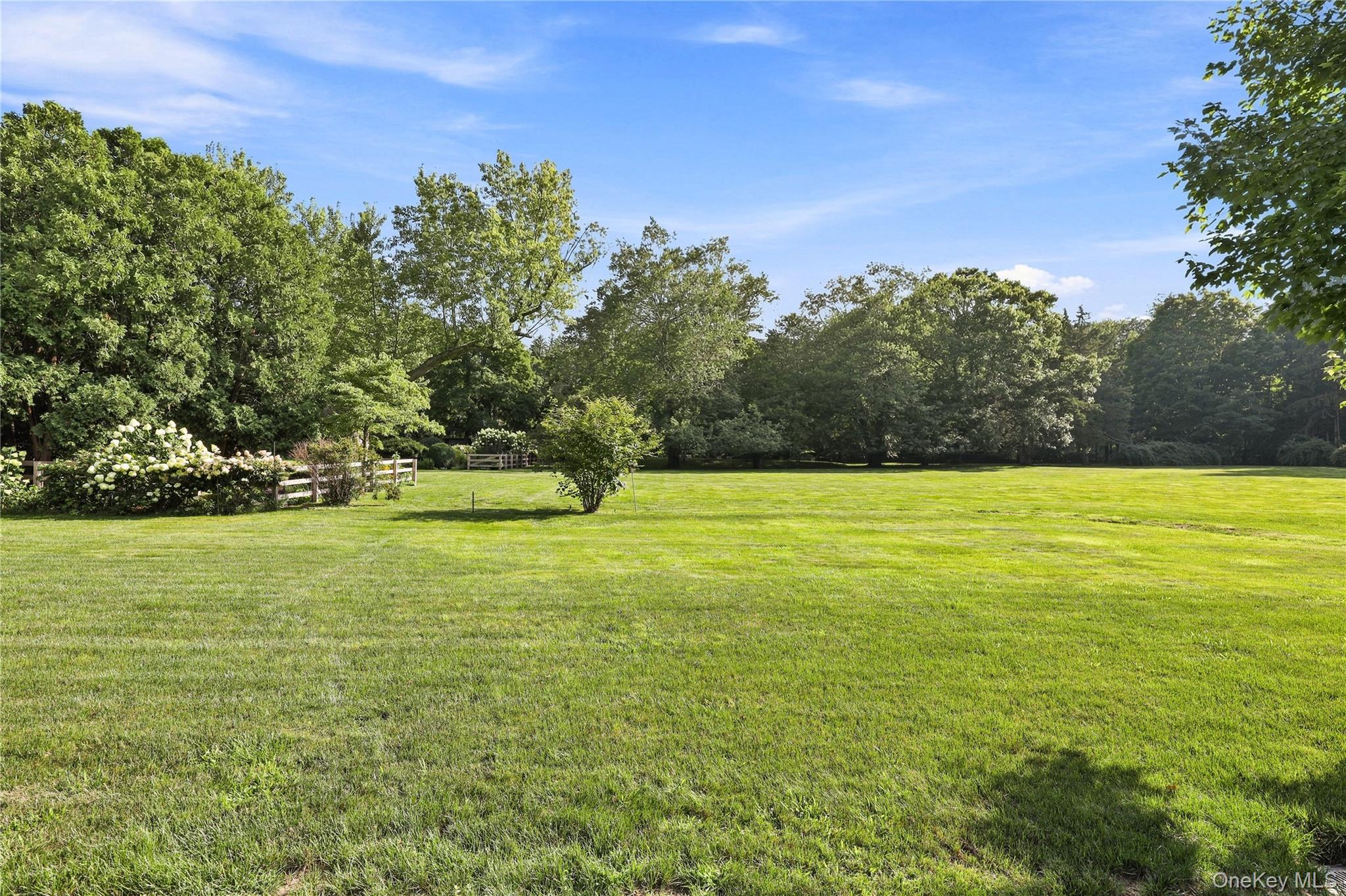 81 Springhurst Road – For Sale photo 25