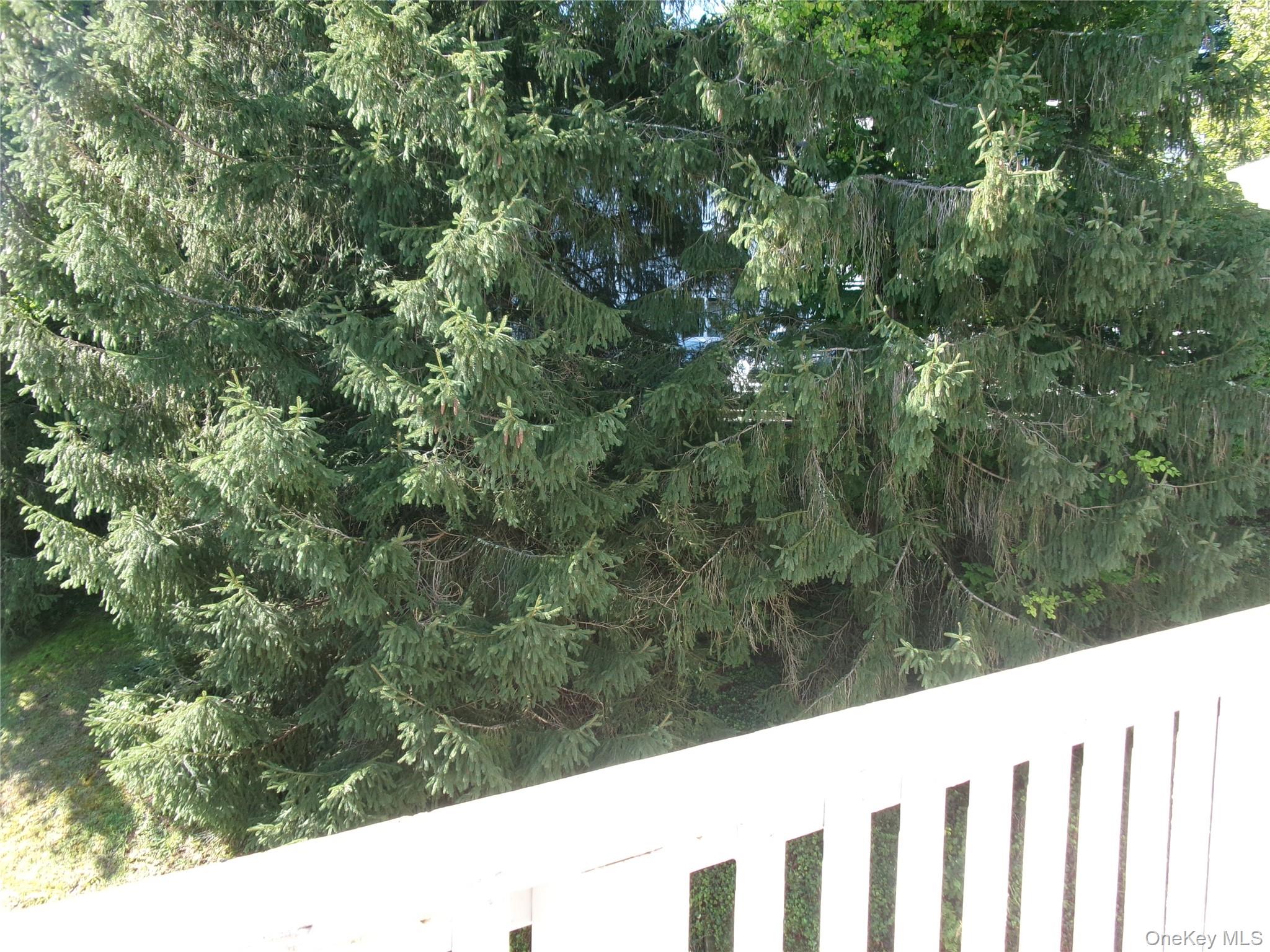 28 Lexington Hill, Unit 6 photo 16