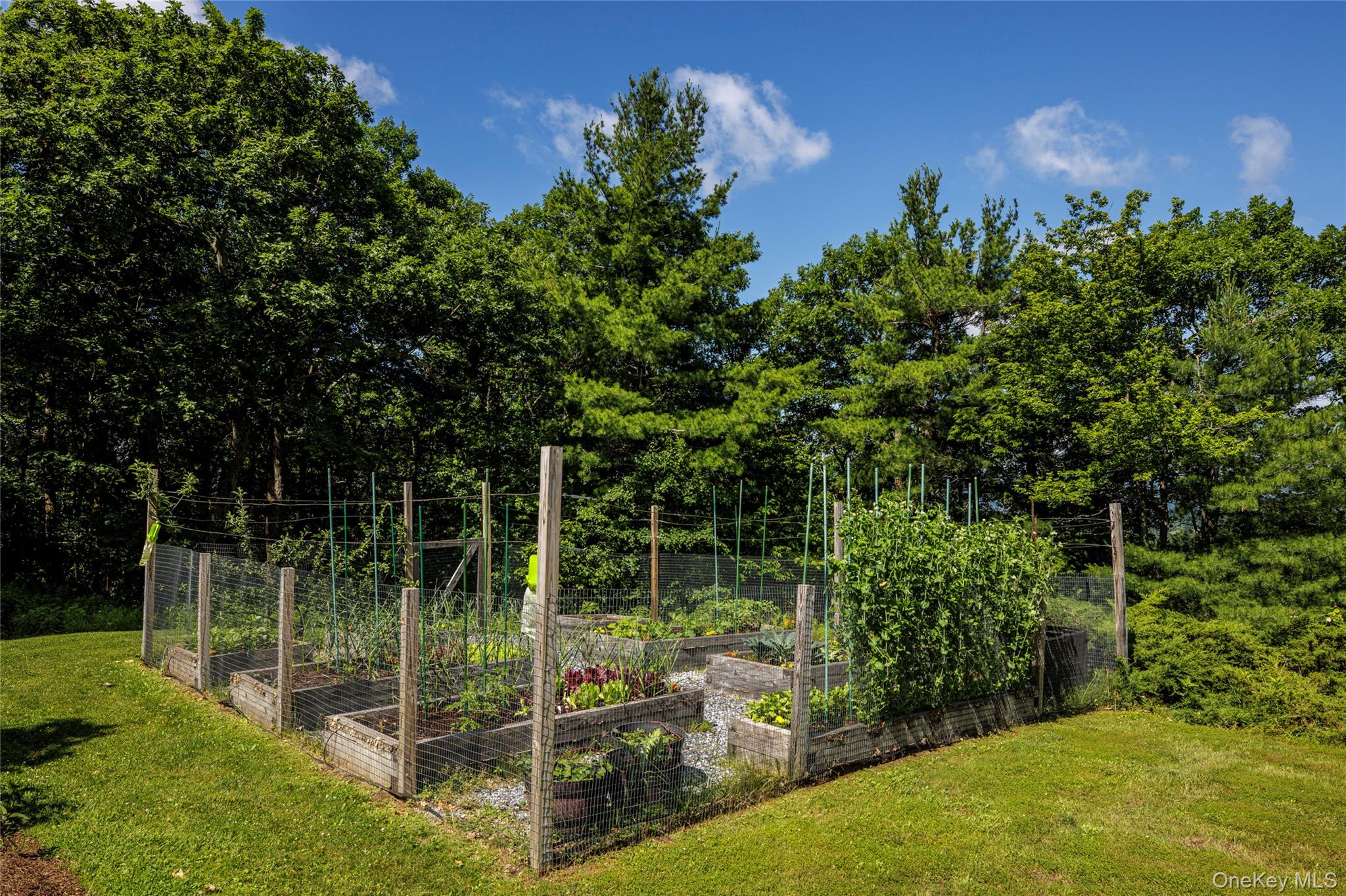 116 Ridge Road – For Sale photo 34
