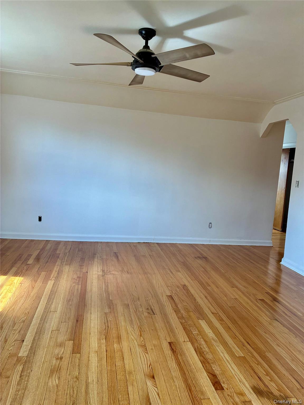 105 Wakefield Avenue, Unit 3 photo 10