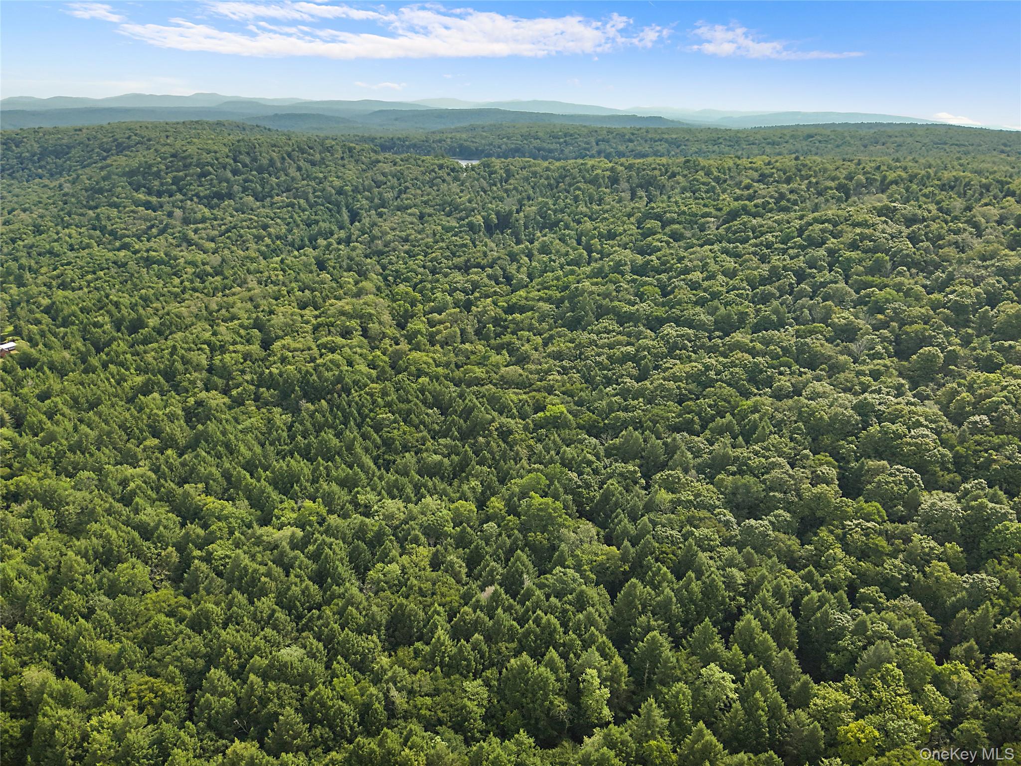 O Benton Hollow Road – For Sale photo 13