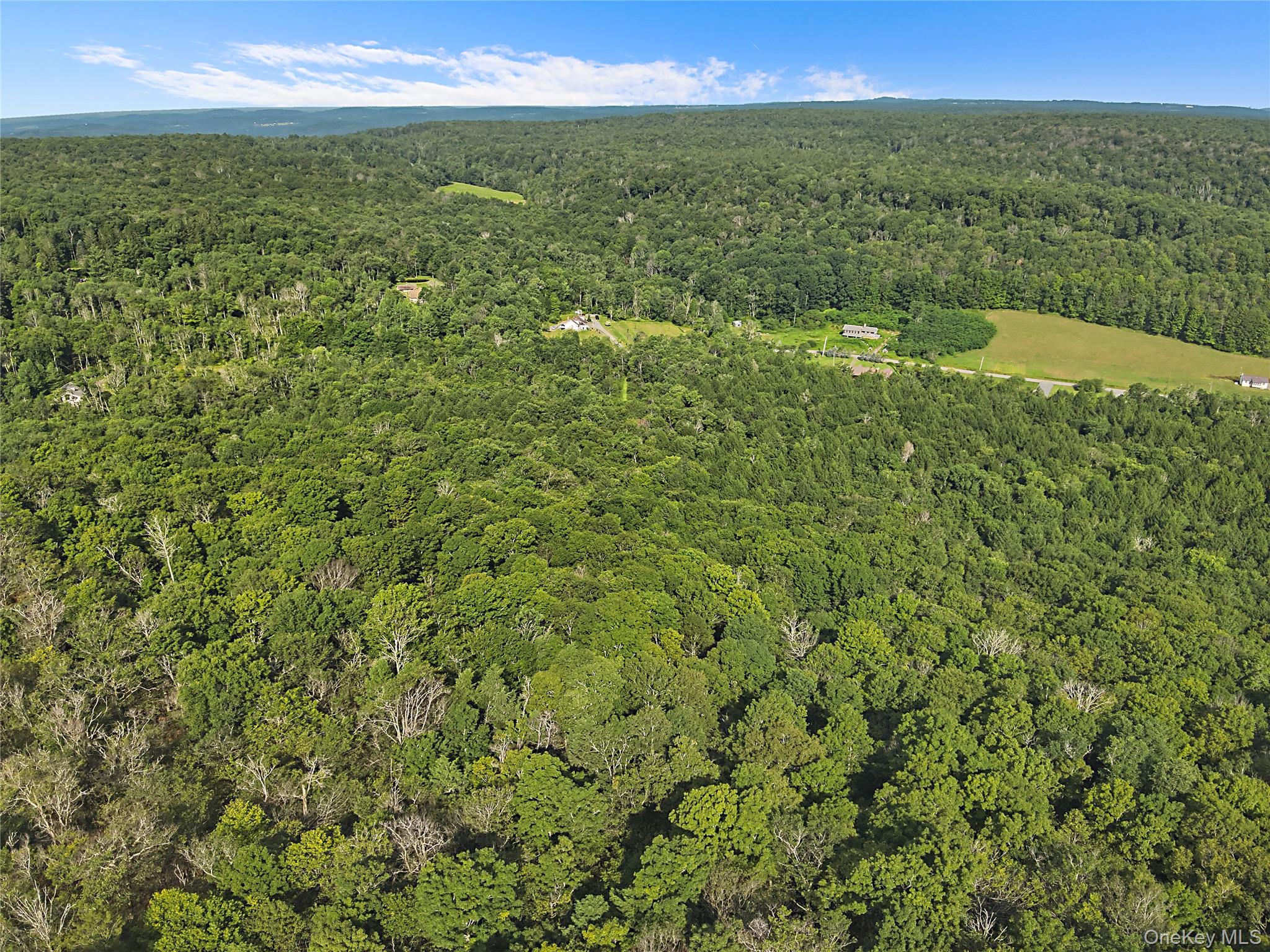 O Benton Hollow Road – For Sale photo 9