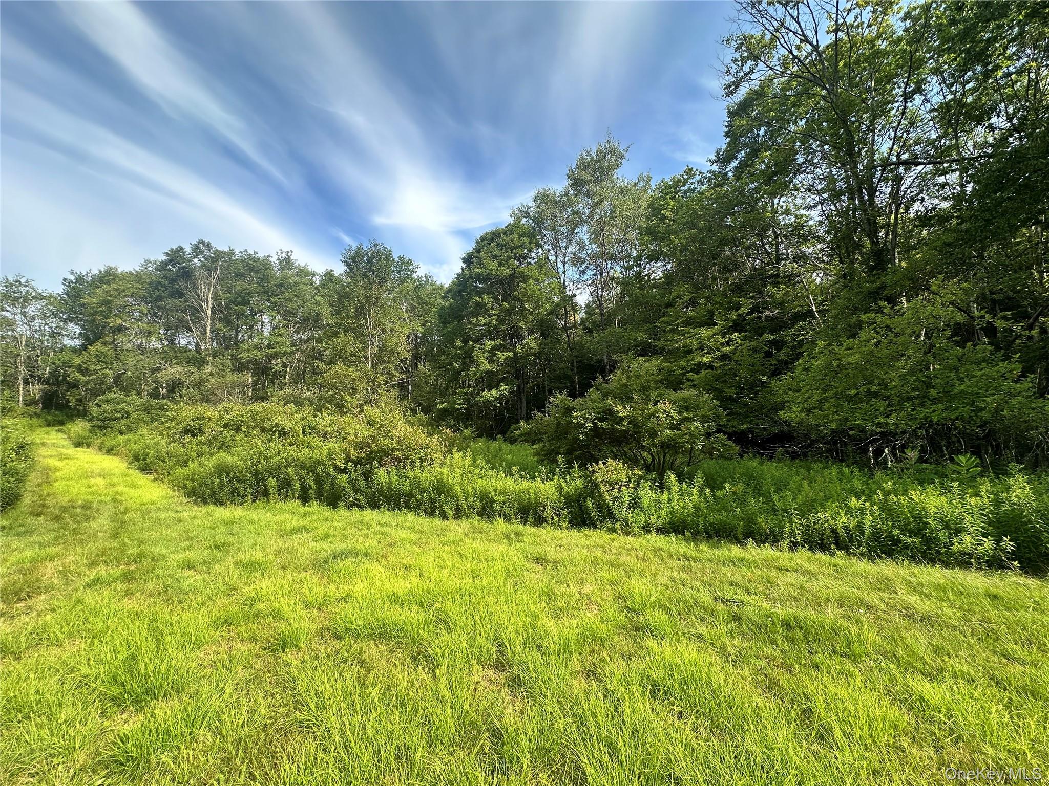 O Benton Hollow Road – For Sale photo 14