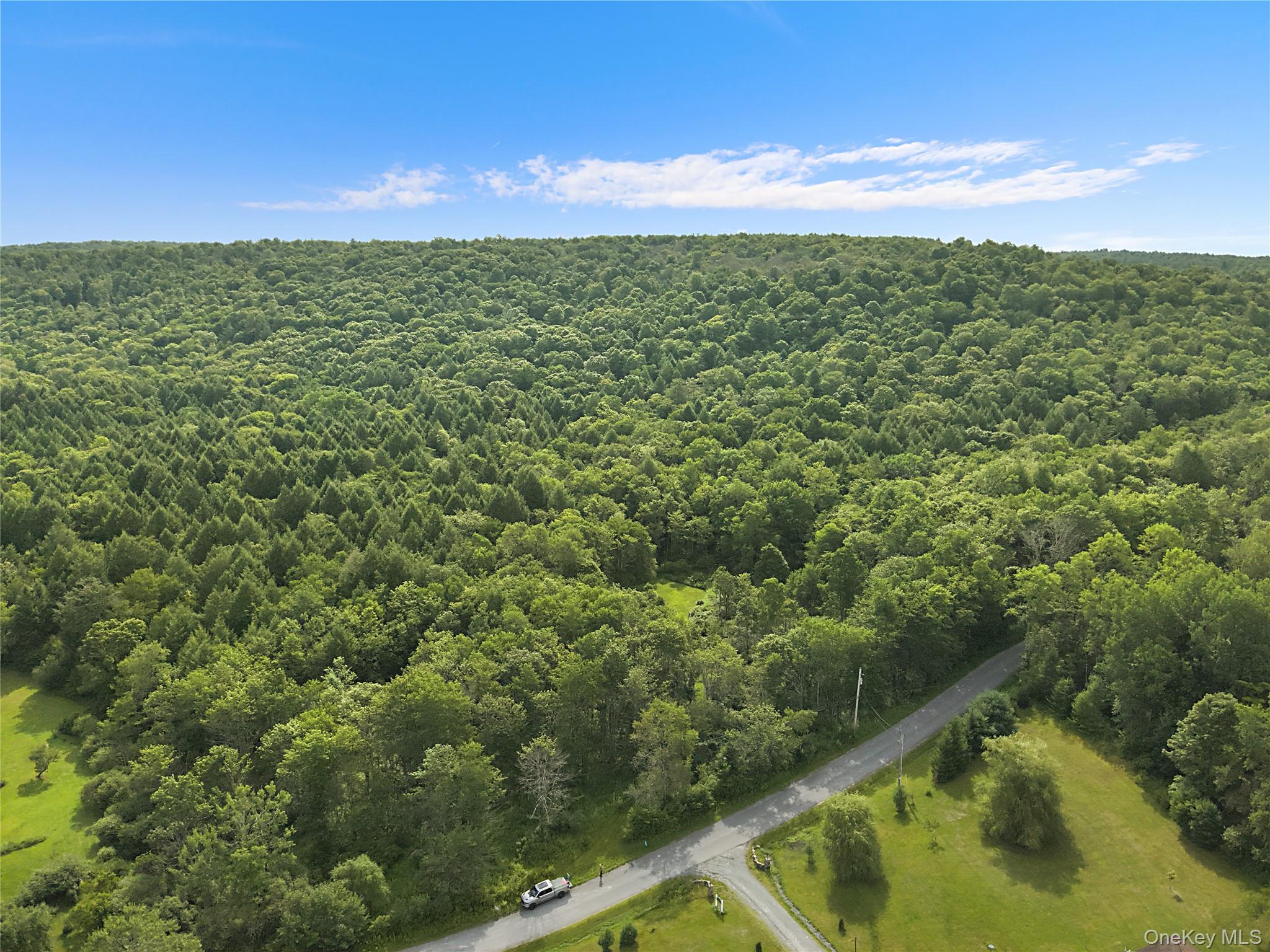 O Benton Hollow Road – For Sale photo 3