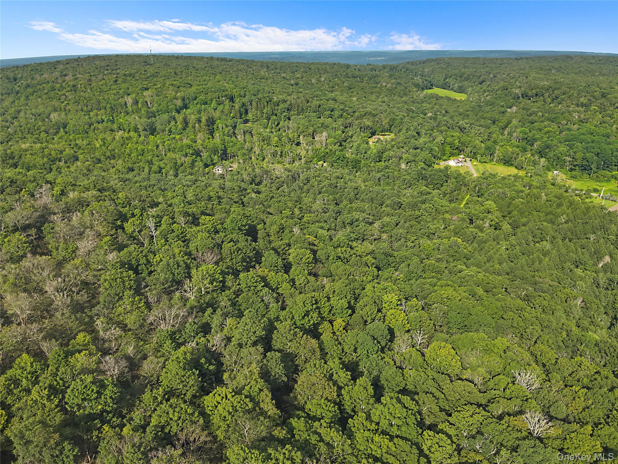 O Benton Hollow Road – For Sale photo 10