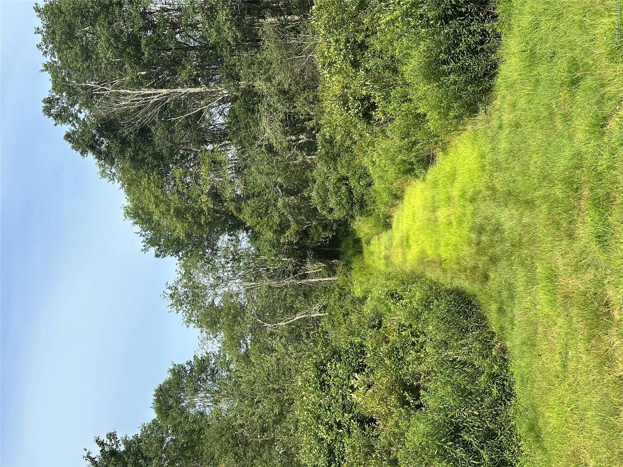 O Benton Hollow Road – For Sale photo 5