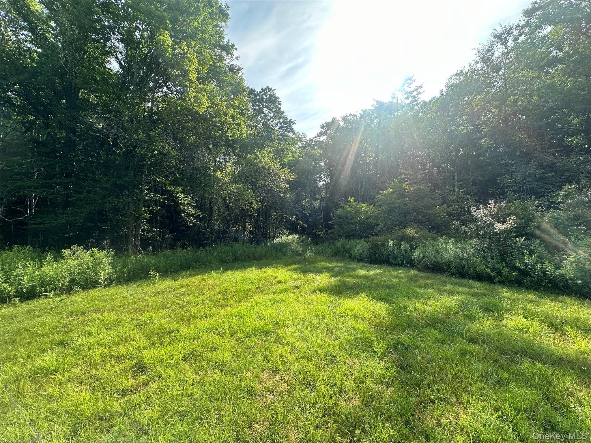 O Benton Hollow Road – For Sale photo 11