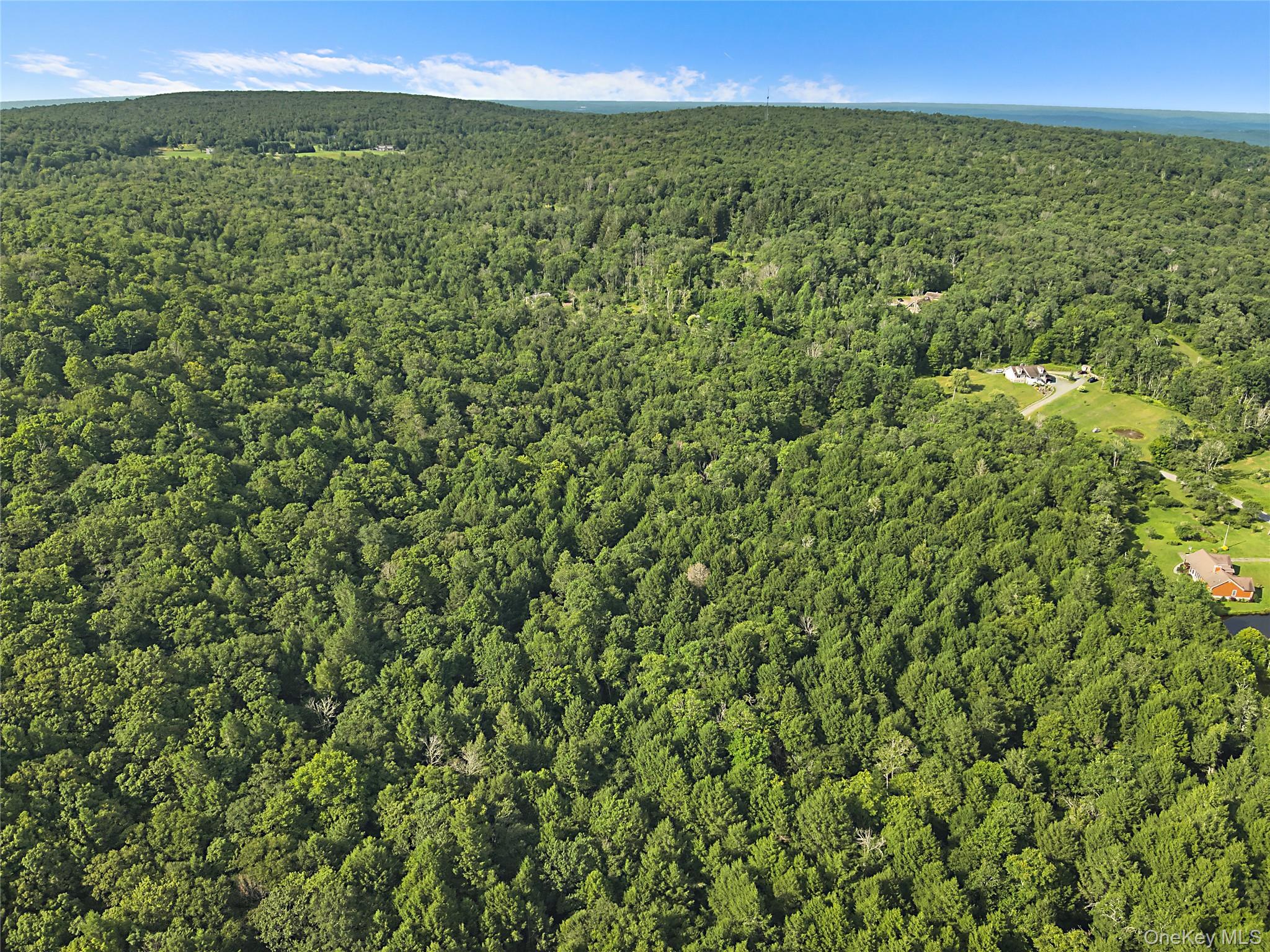 O Benton Hollow Road – For Sale photo 12